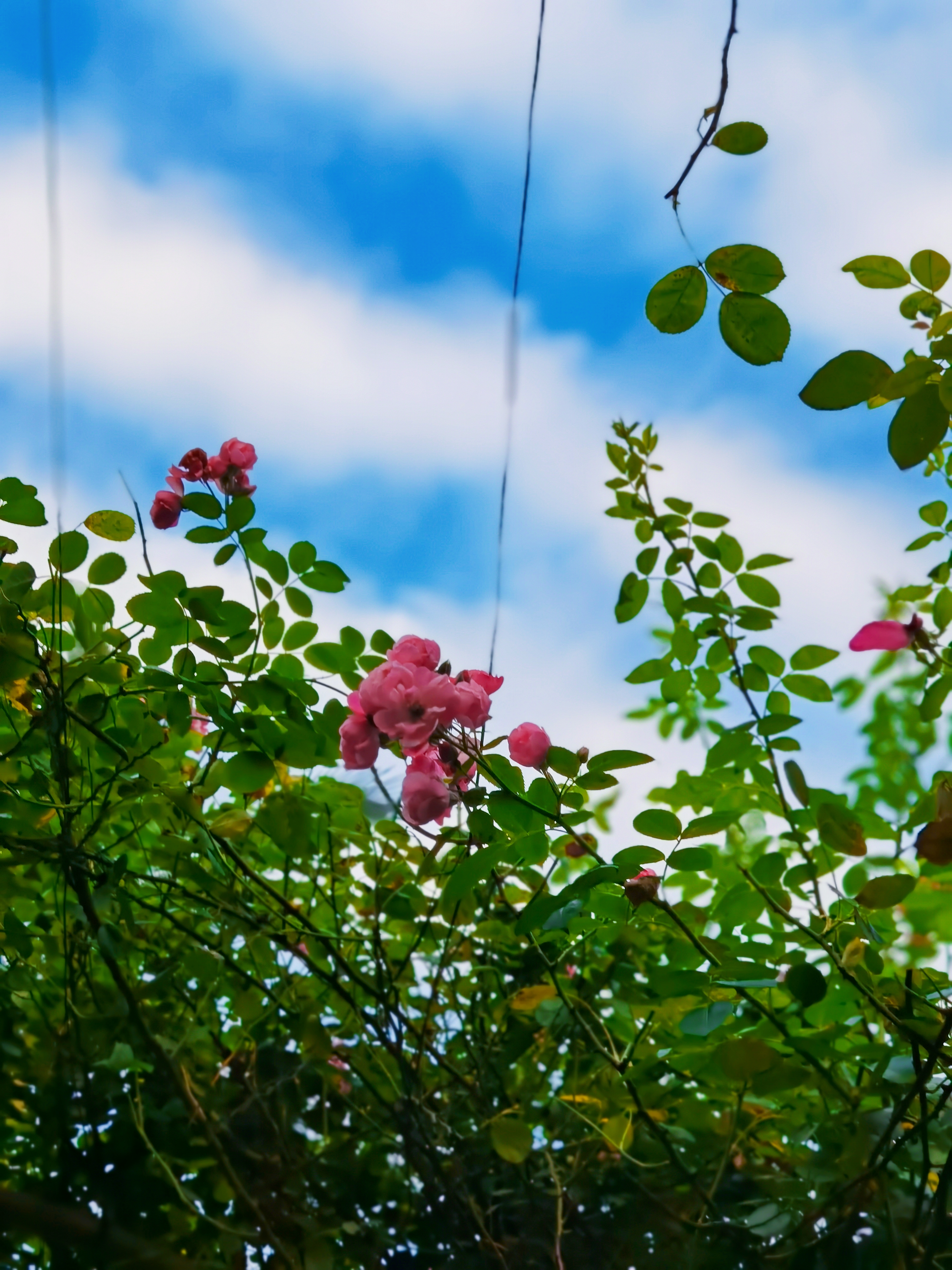 retouch_2021062319132840.jpg