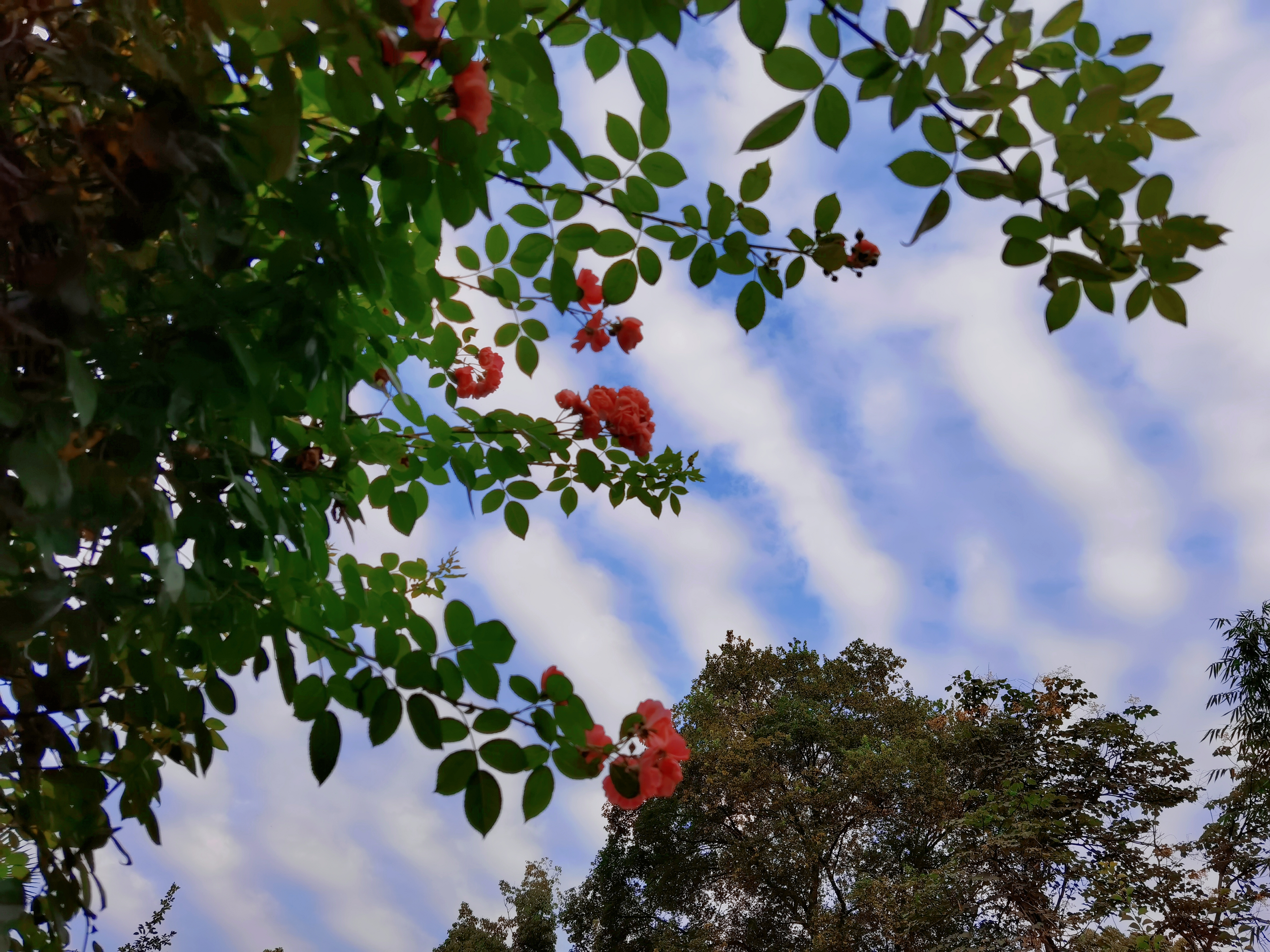 retouch_2021062319124974.jpg