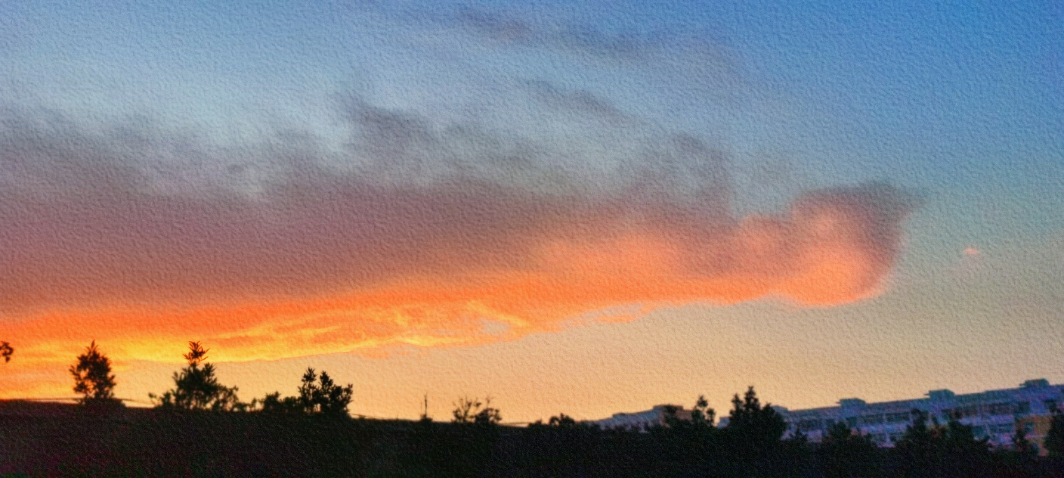 retouch_2021080520564949.jpg