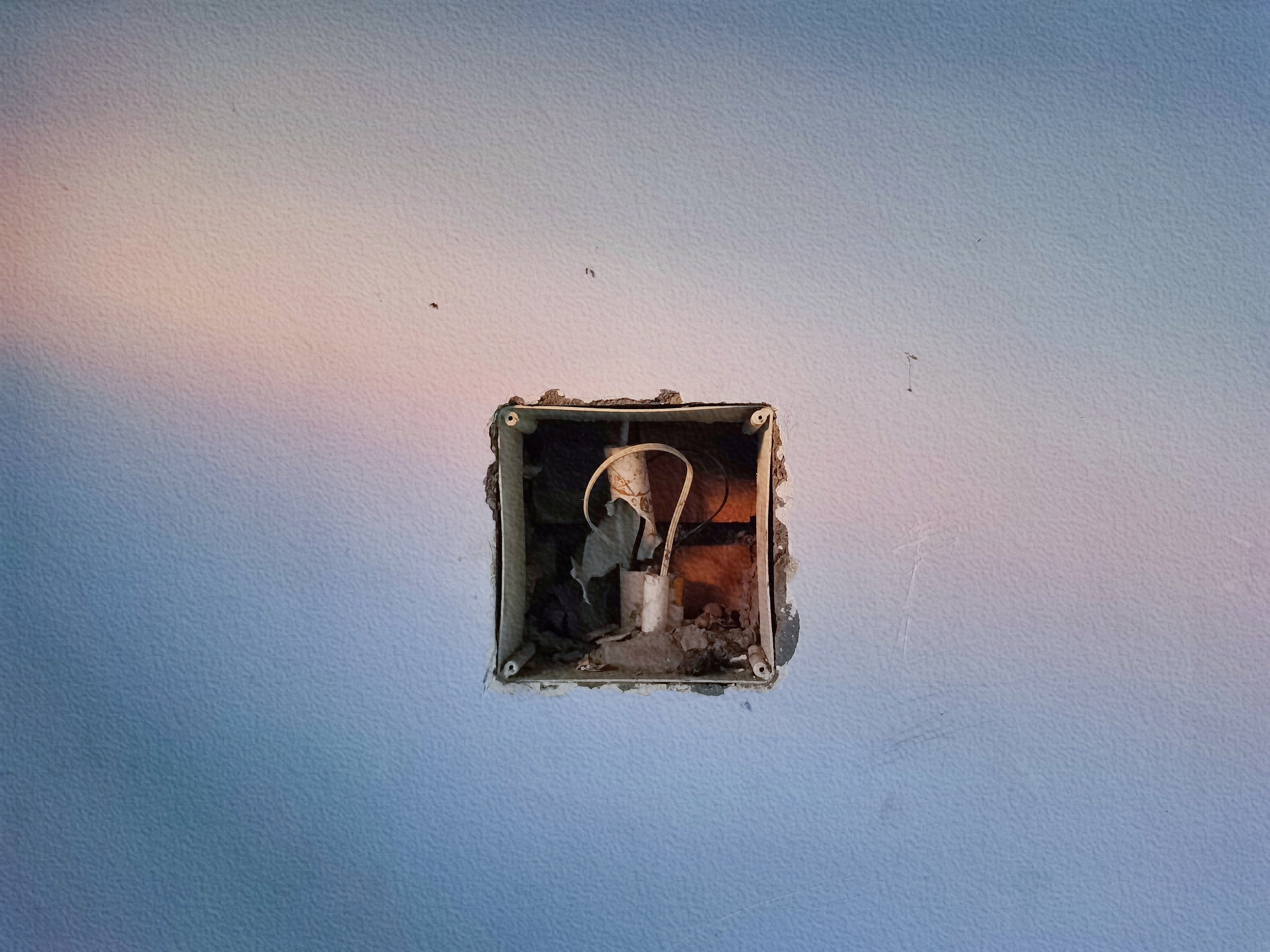 retouch_2021080520565095.jpg