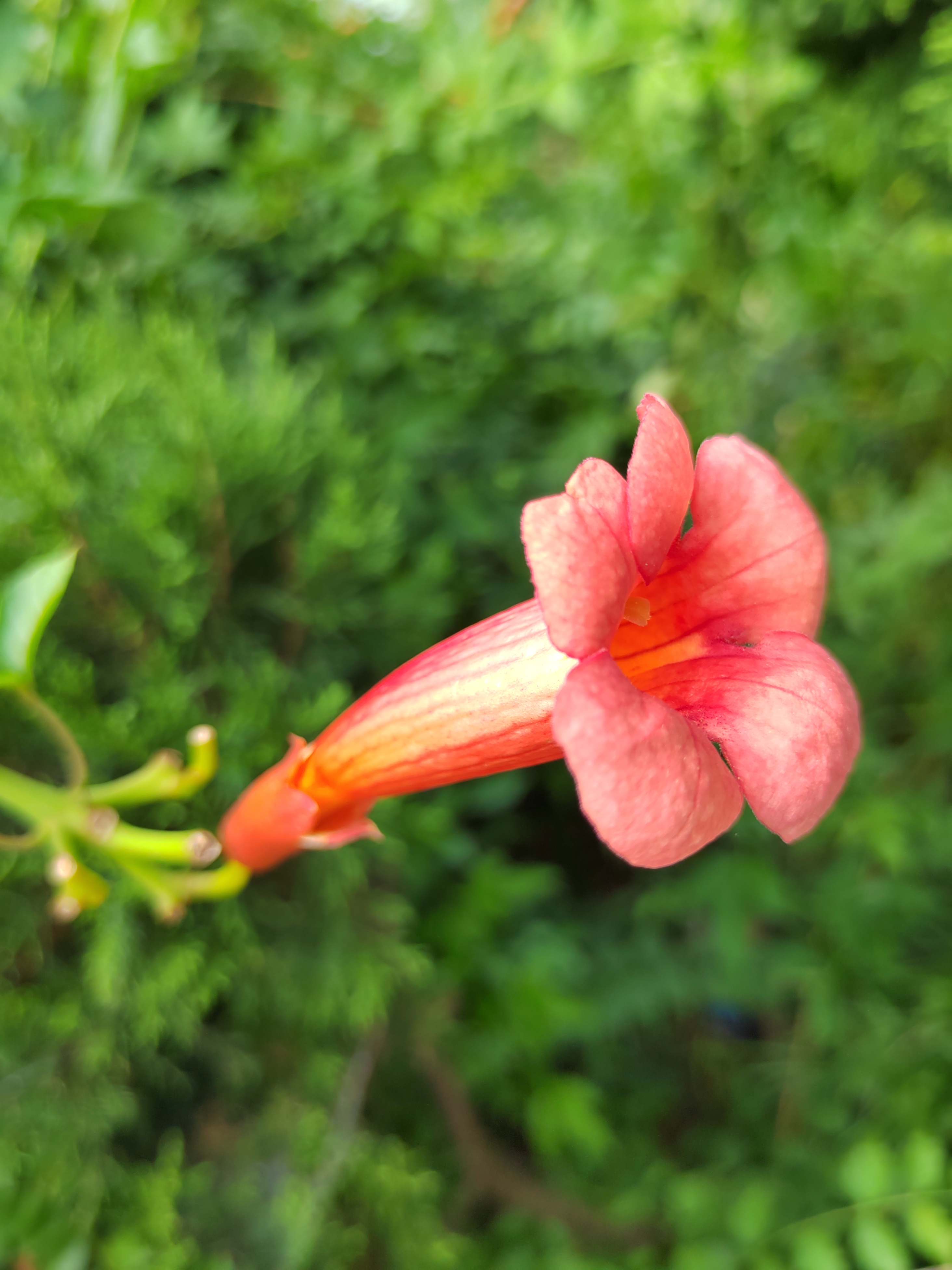 IMG_20210728_103539.jpg