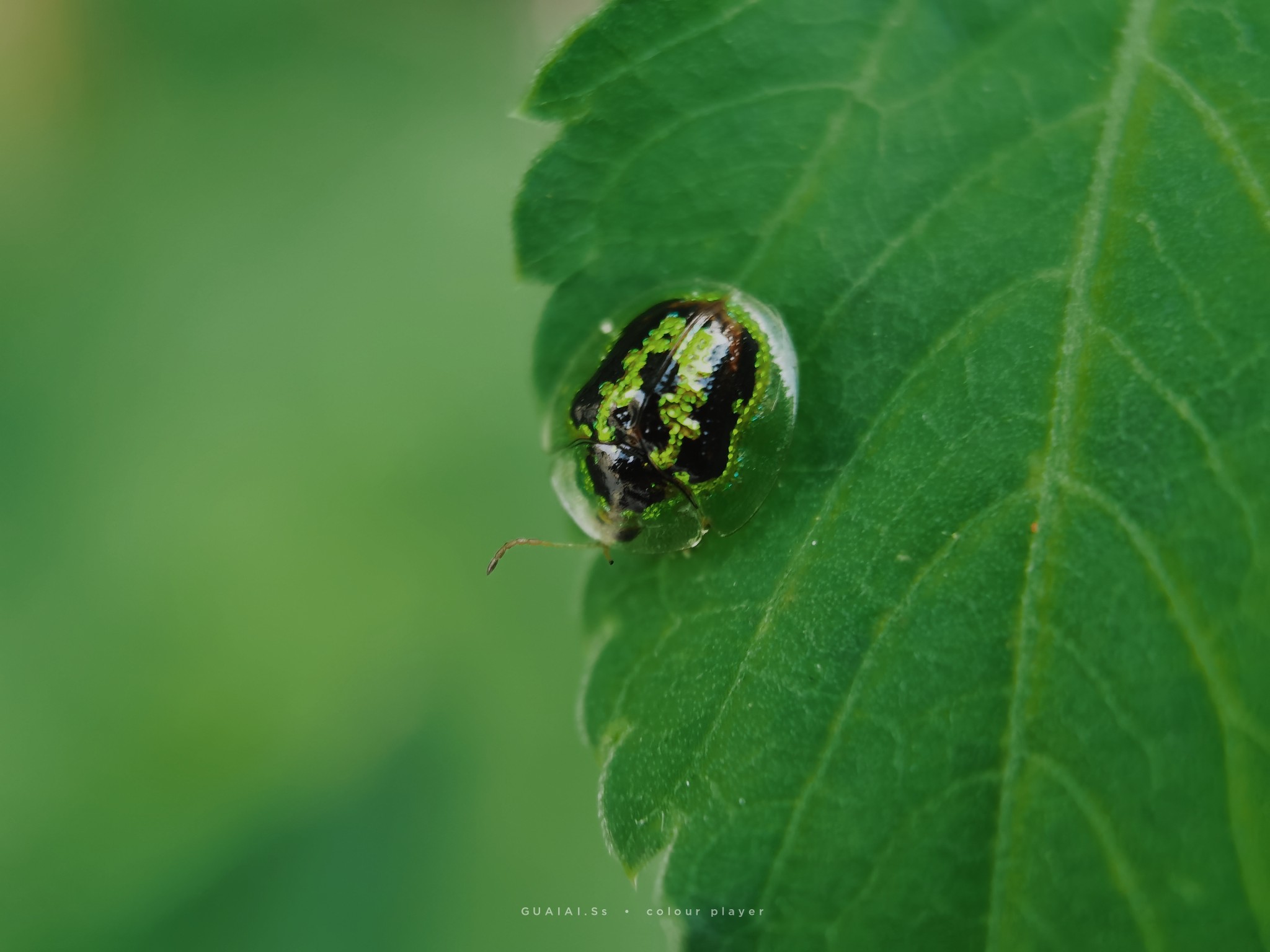 InterPhoto_1627915832814.jpg