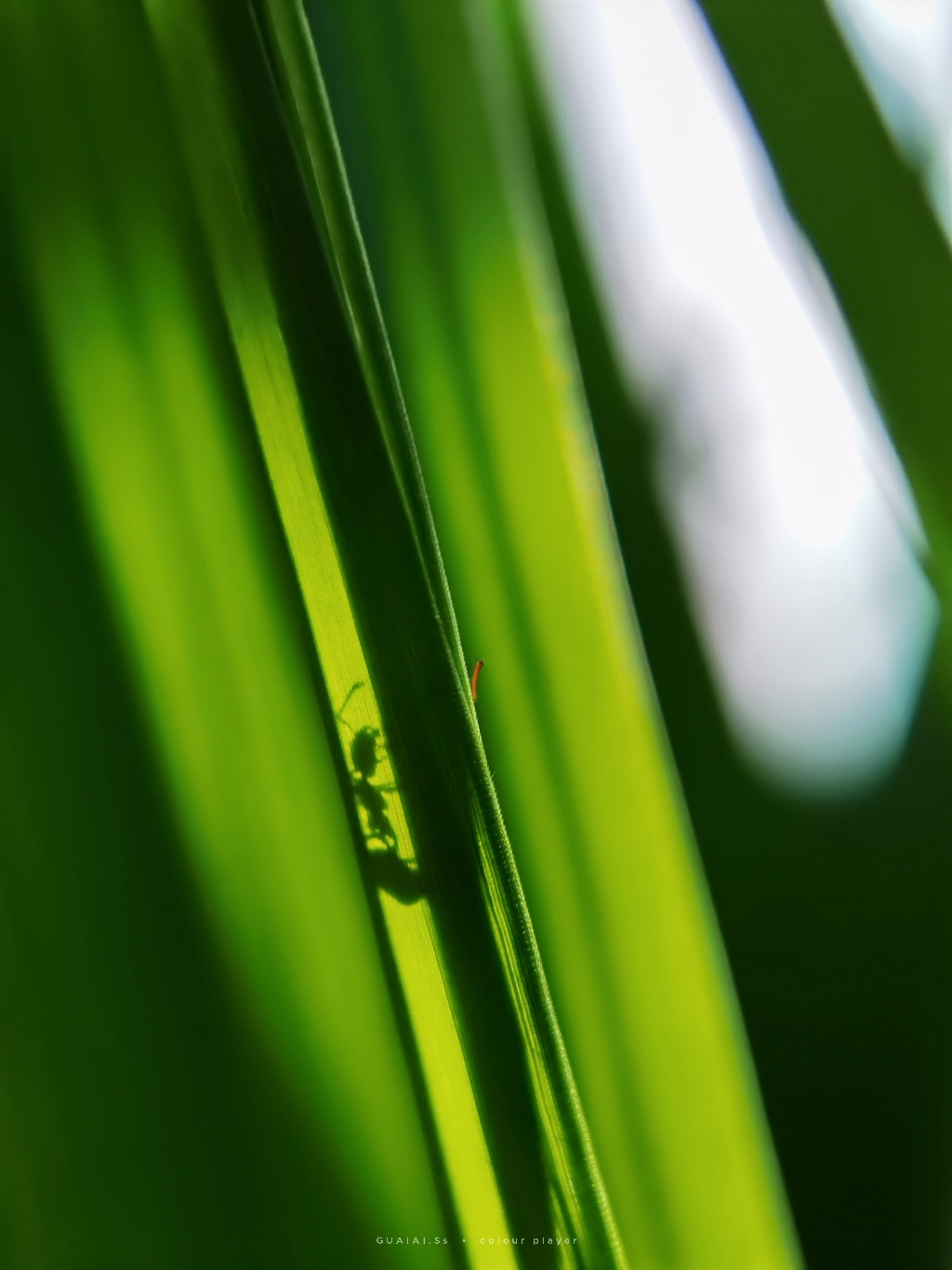 InterPhoto_1627906082251.jpg