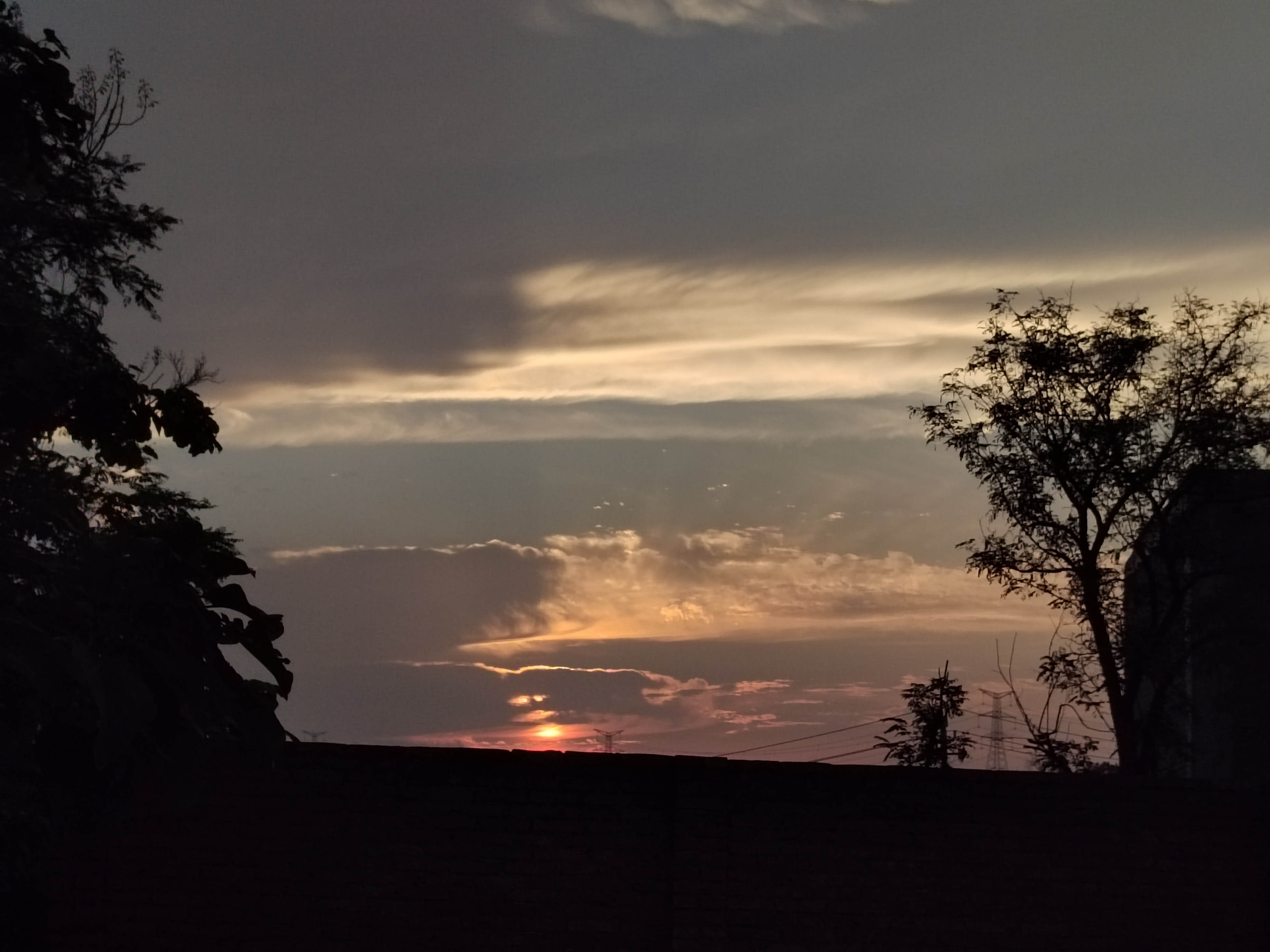 IMG_20210805_191011.jpg