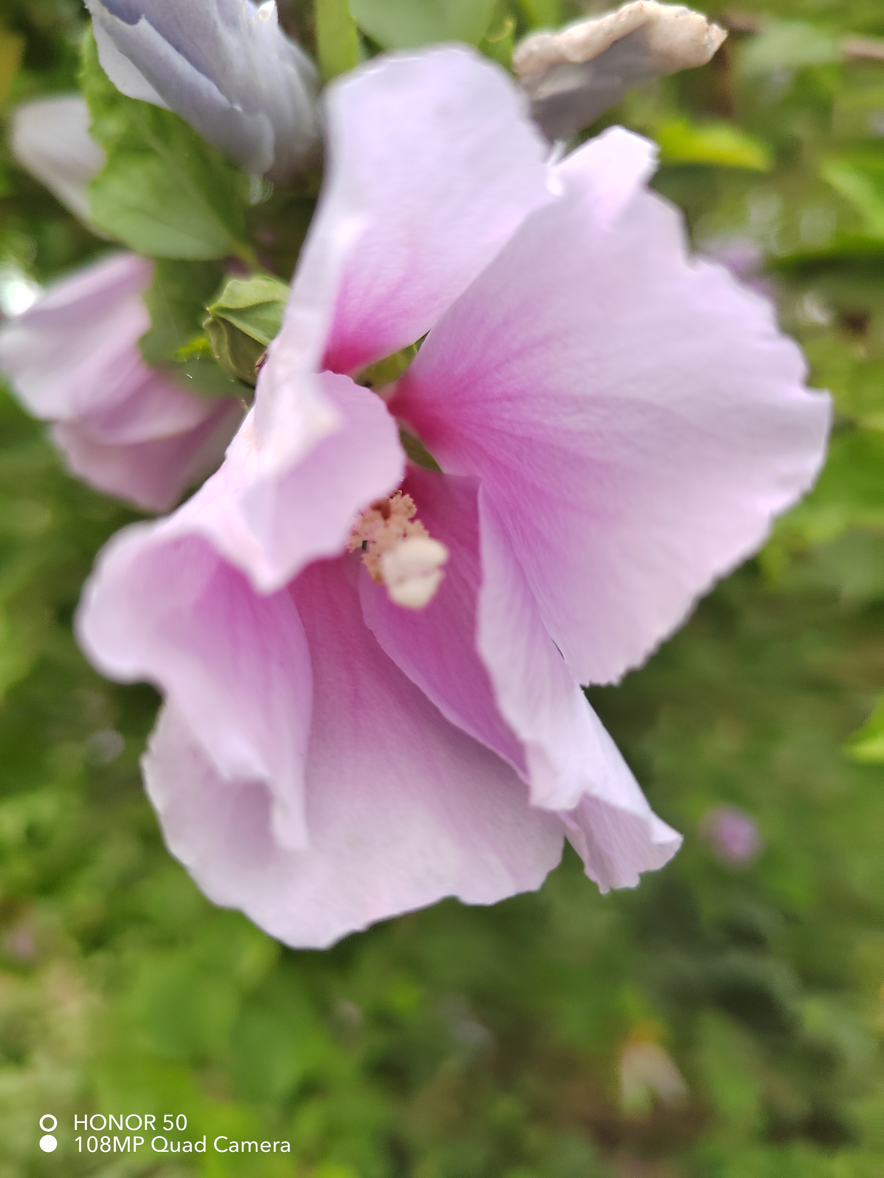 IMG_20210805_190313.jpg