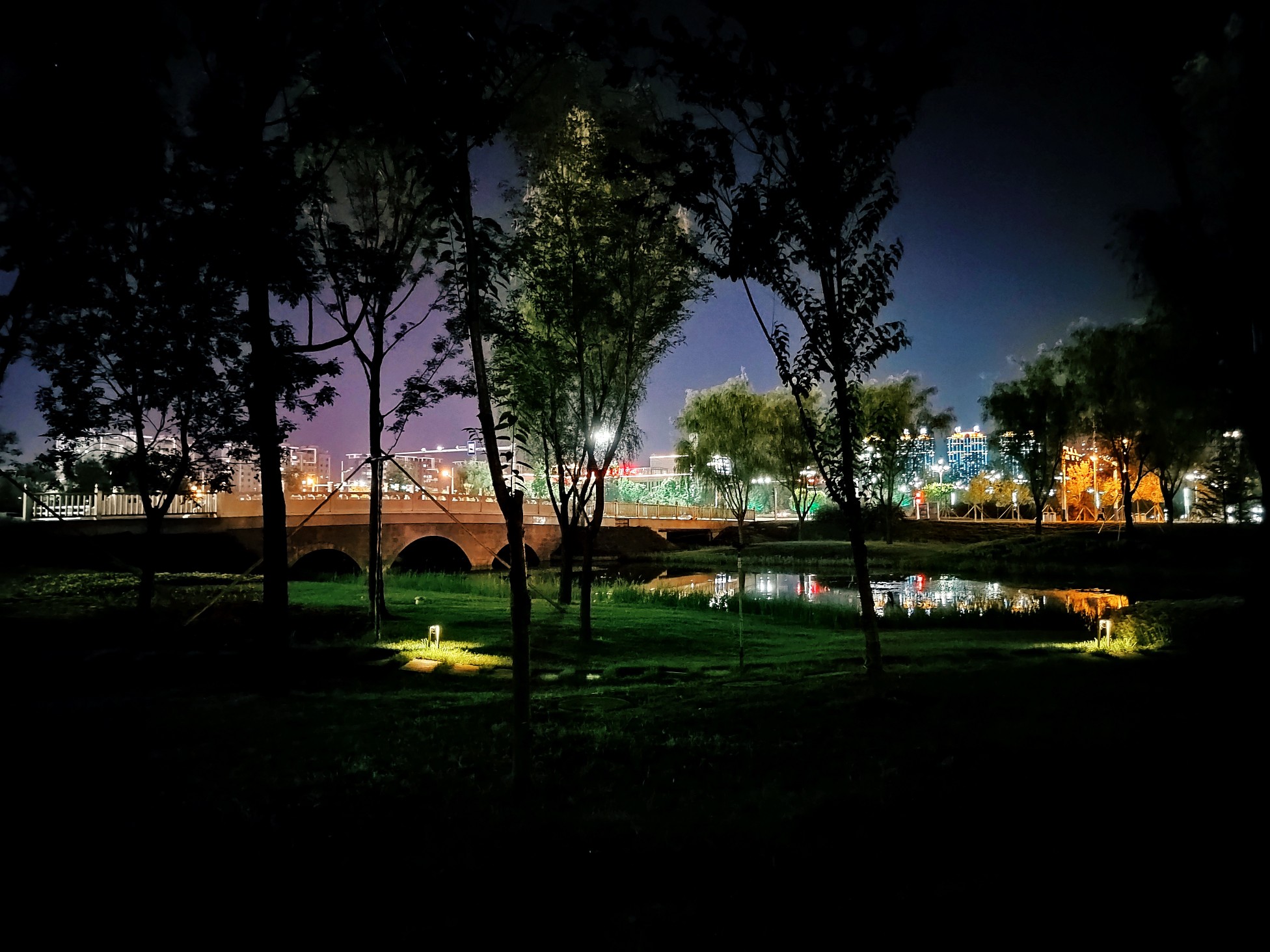 IMG_20210807_220107.jpg