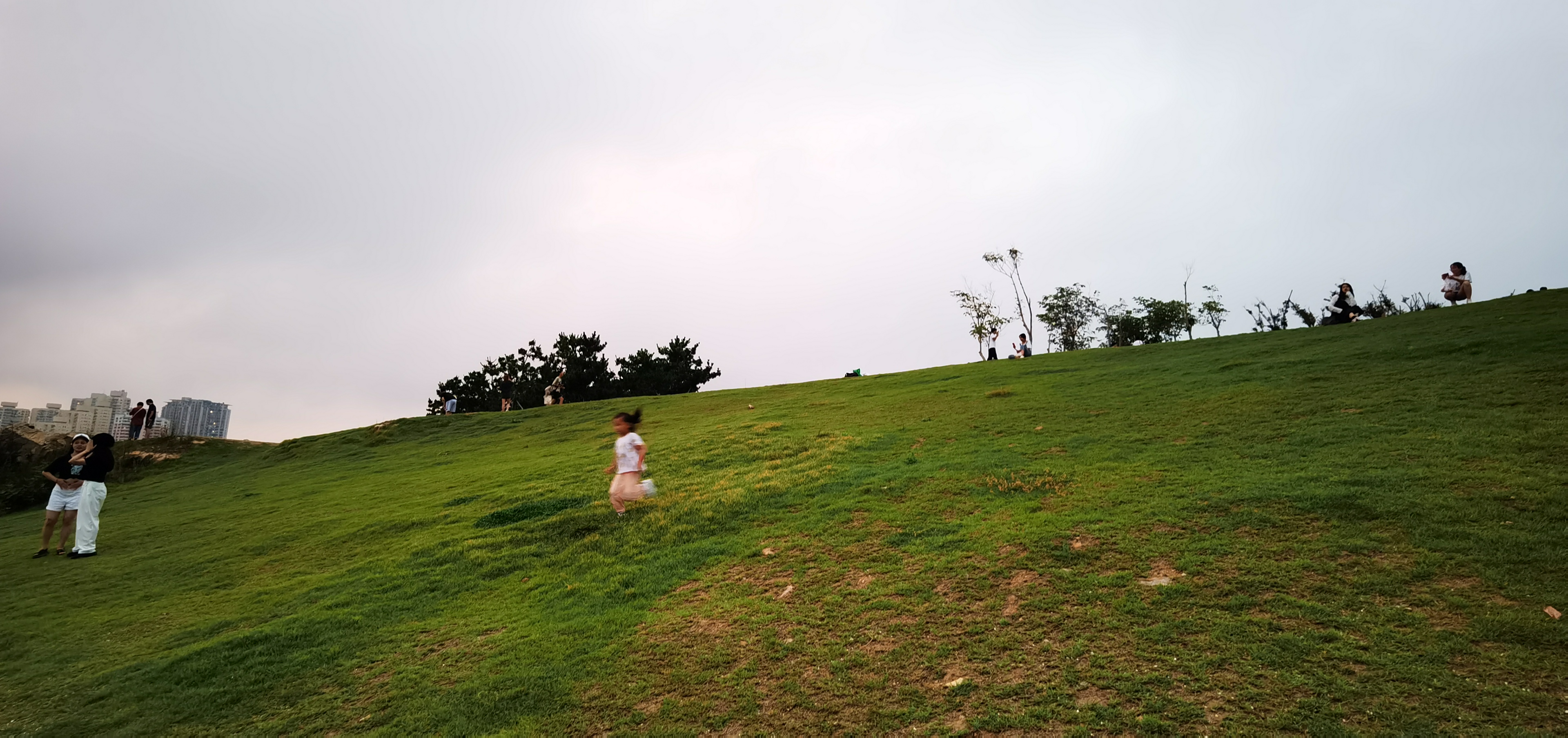 IMG_20210801_191120.jpg