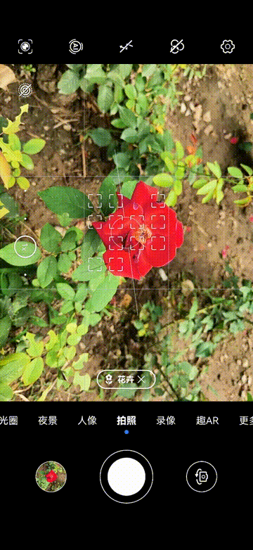 1628408692410.gif