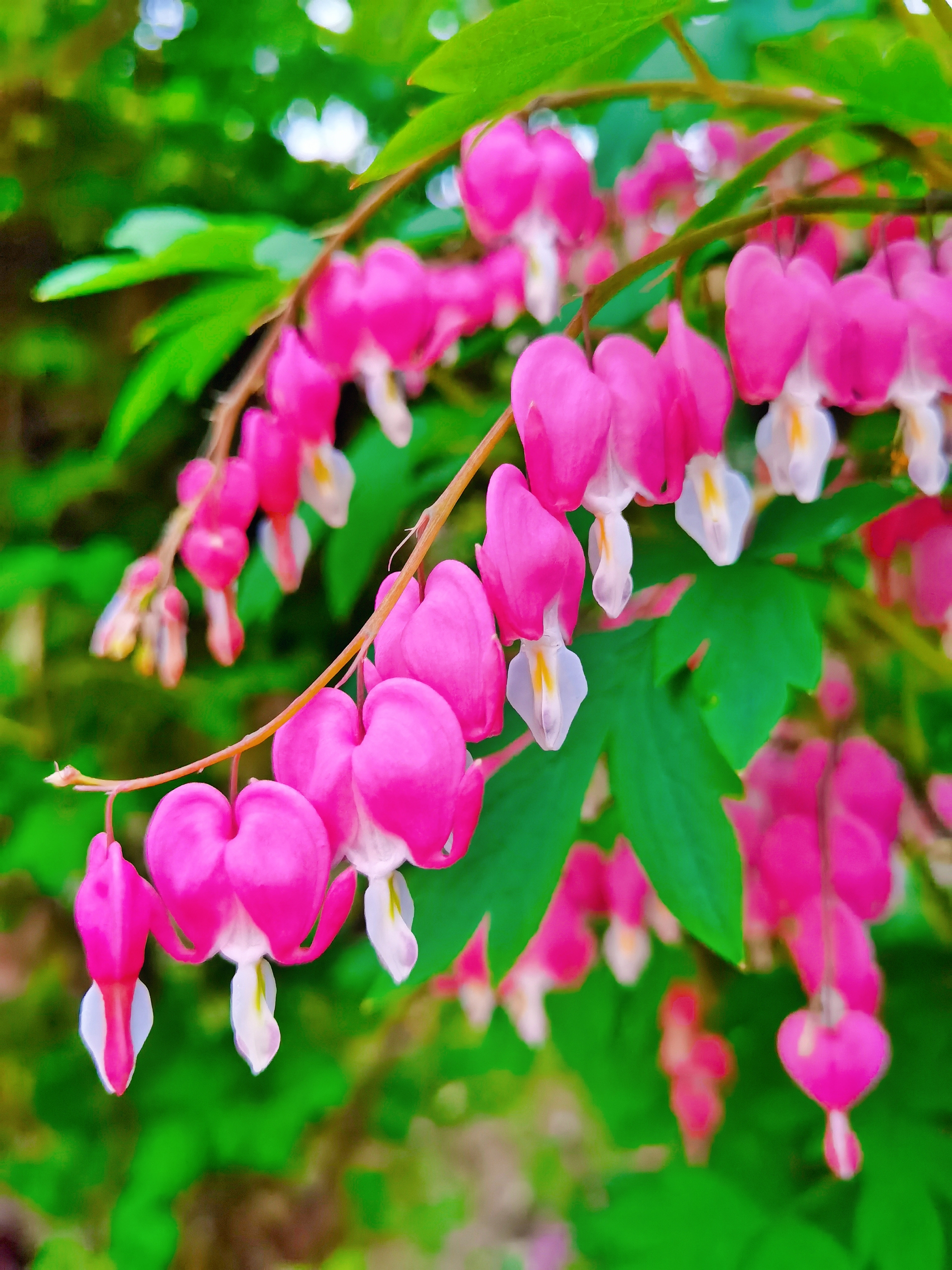 IMG_PITU_20210511_113423.jpg