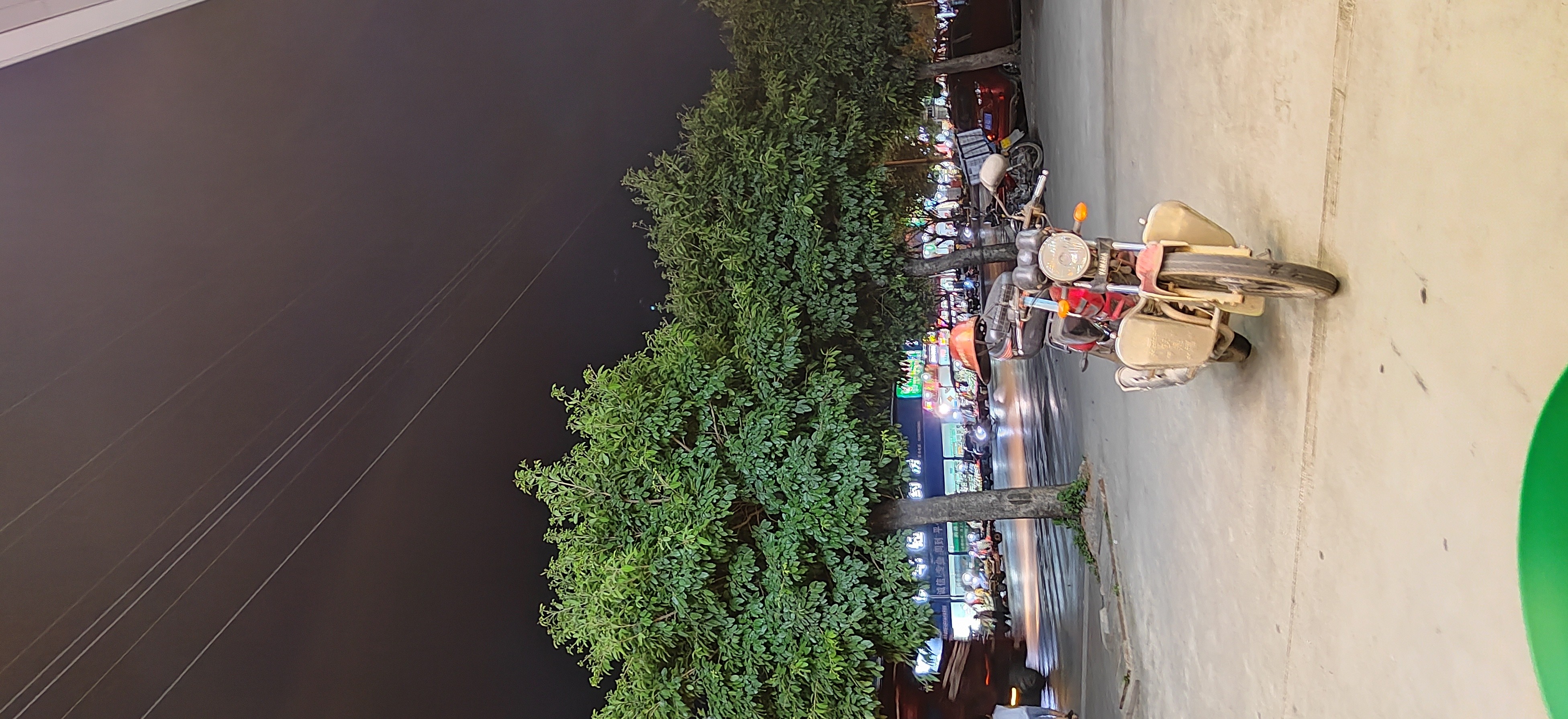 IMG_20210808_195217.jpg