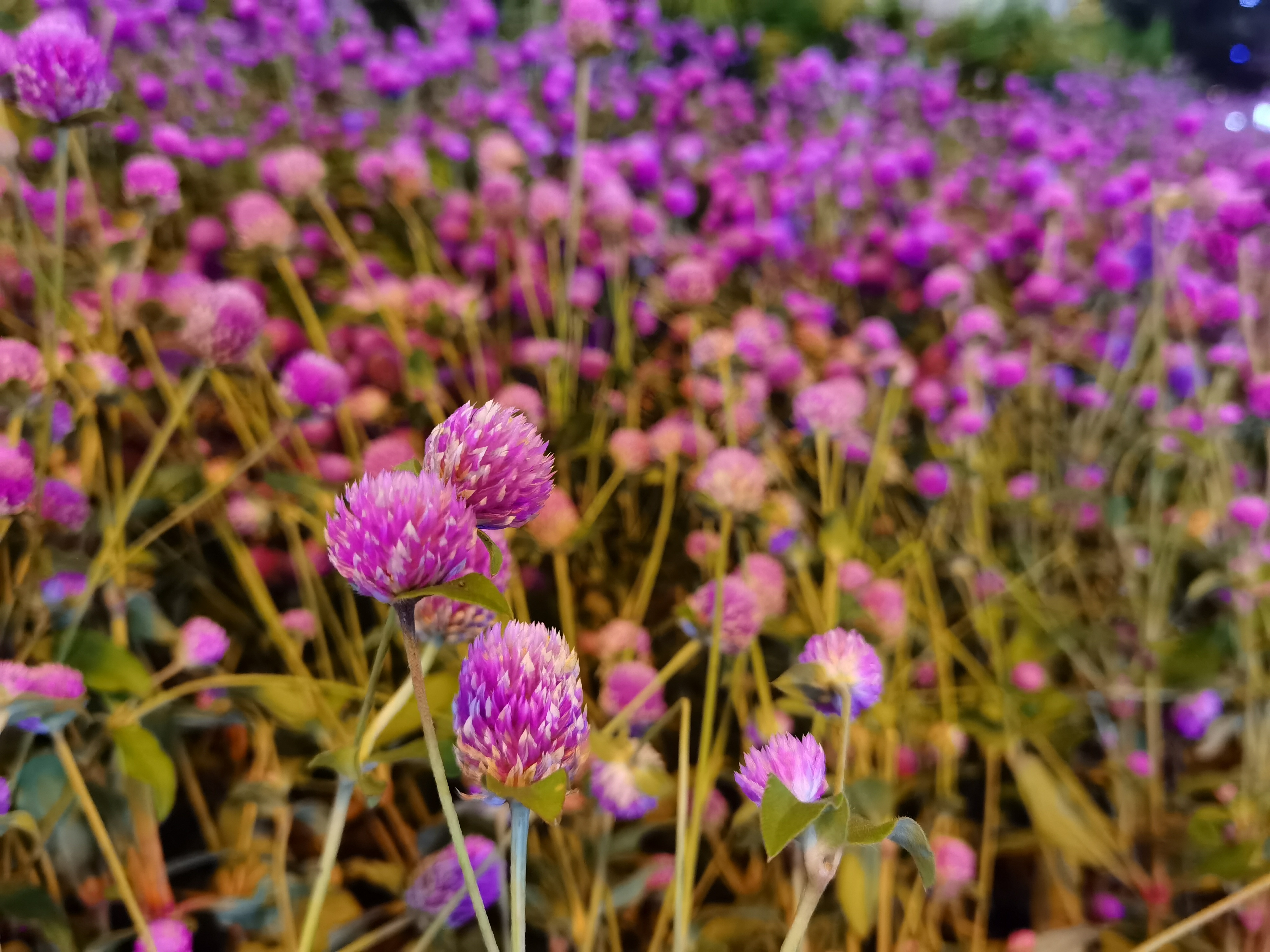 retouch_2021071722252980.jpg