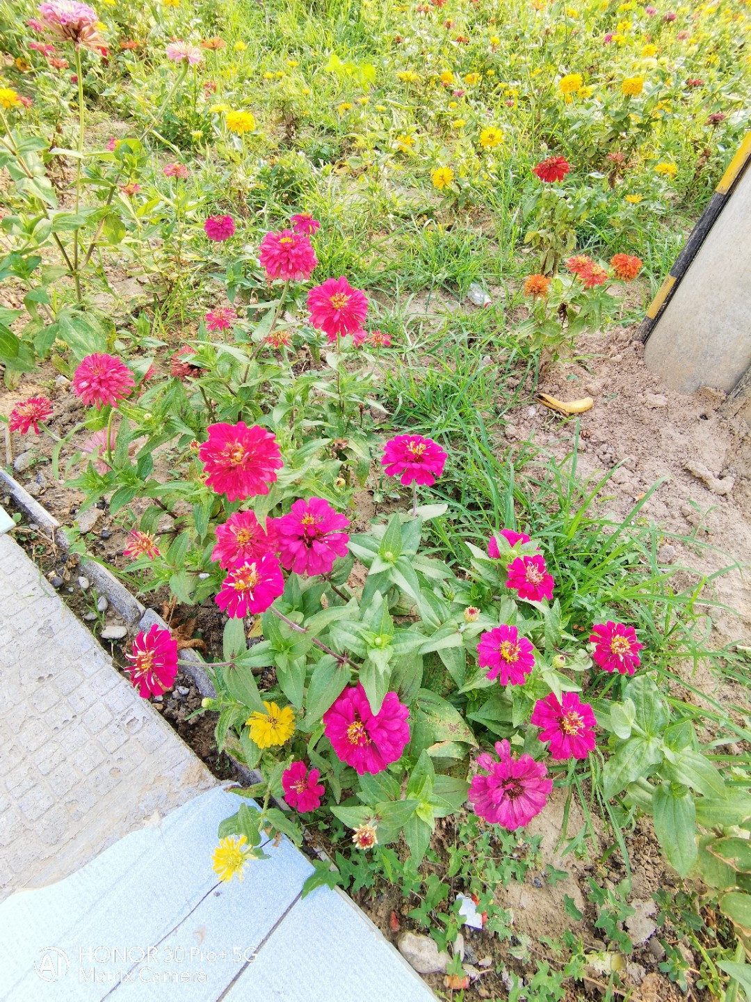 IMG_20210809_171059.jpg