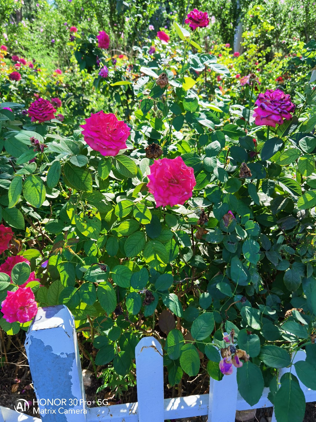 IMG_20210802_084459.jpg
