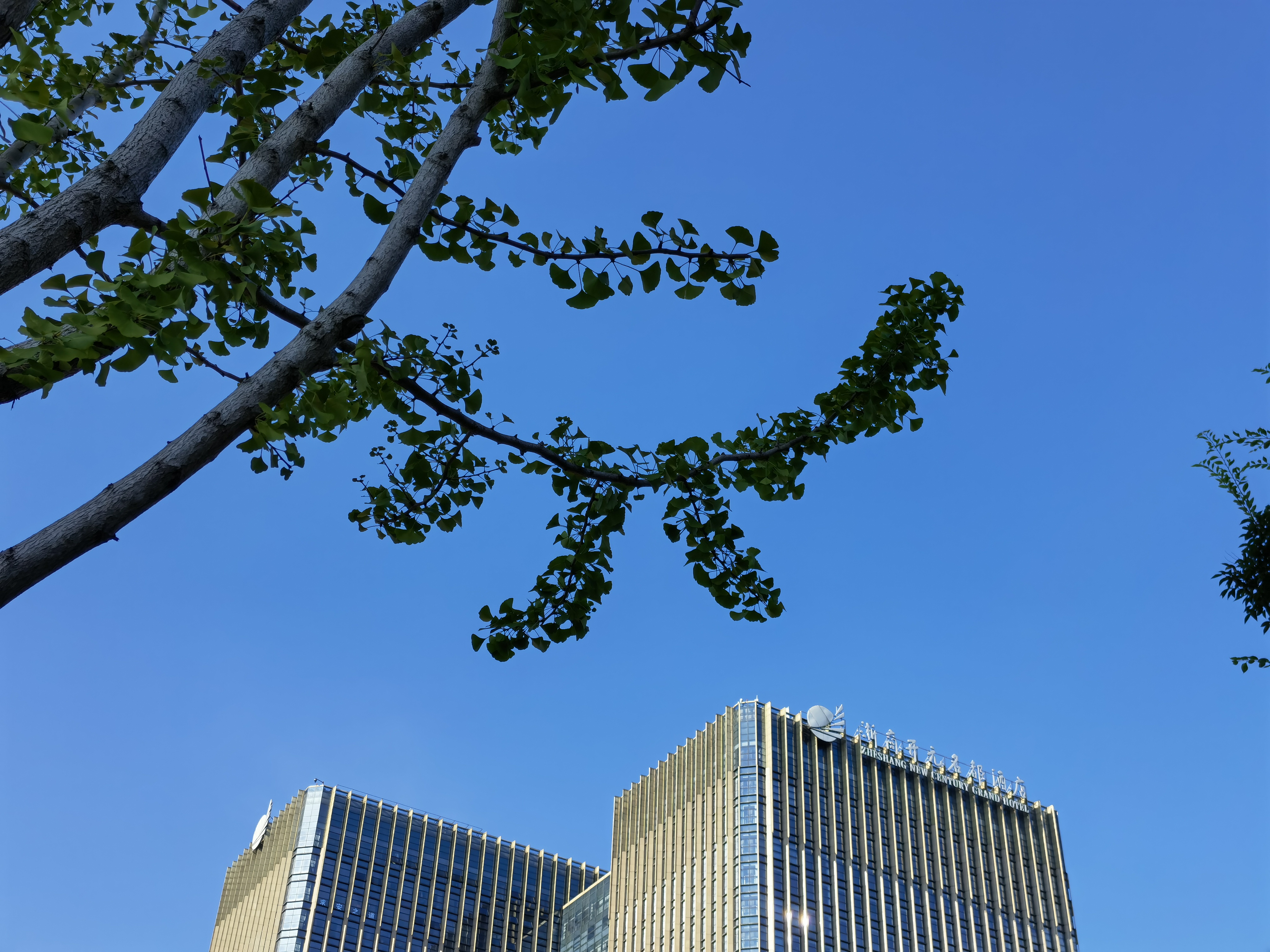 IMG_20210806_164704.jpg