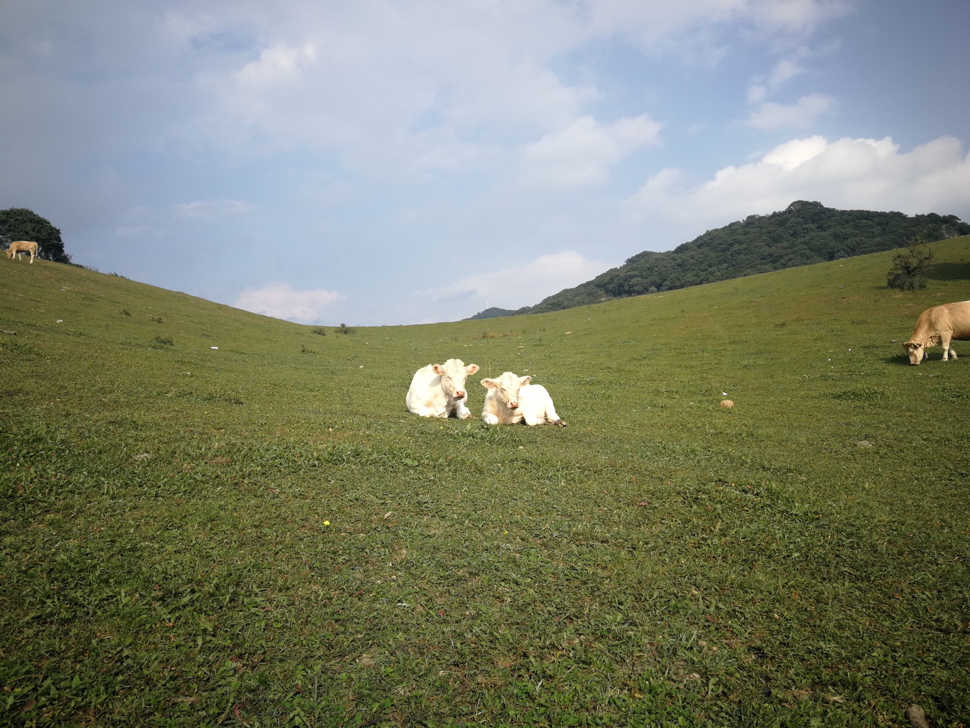 IMG_20190907_162813.jpg