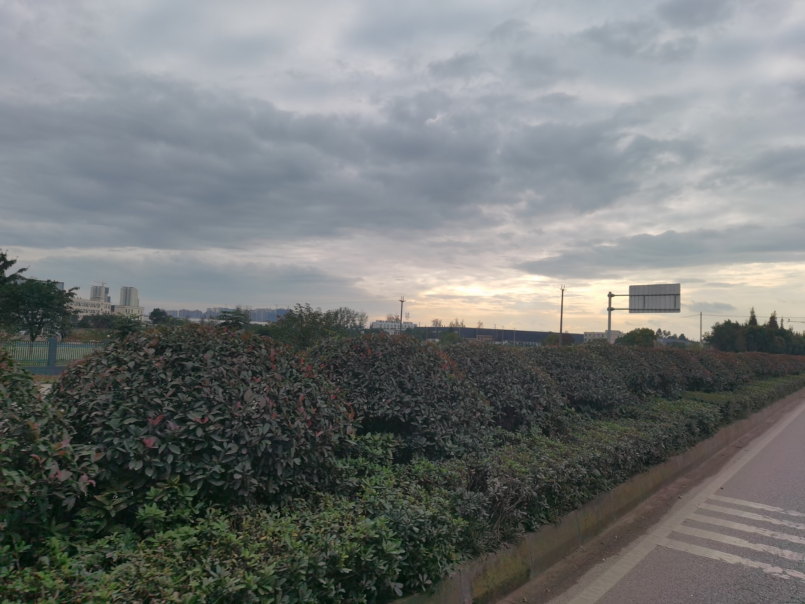 IMG_20201018_171009.jpg