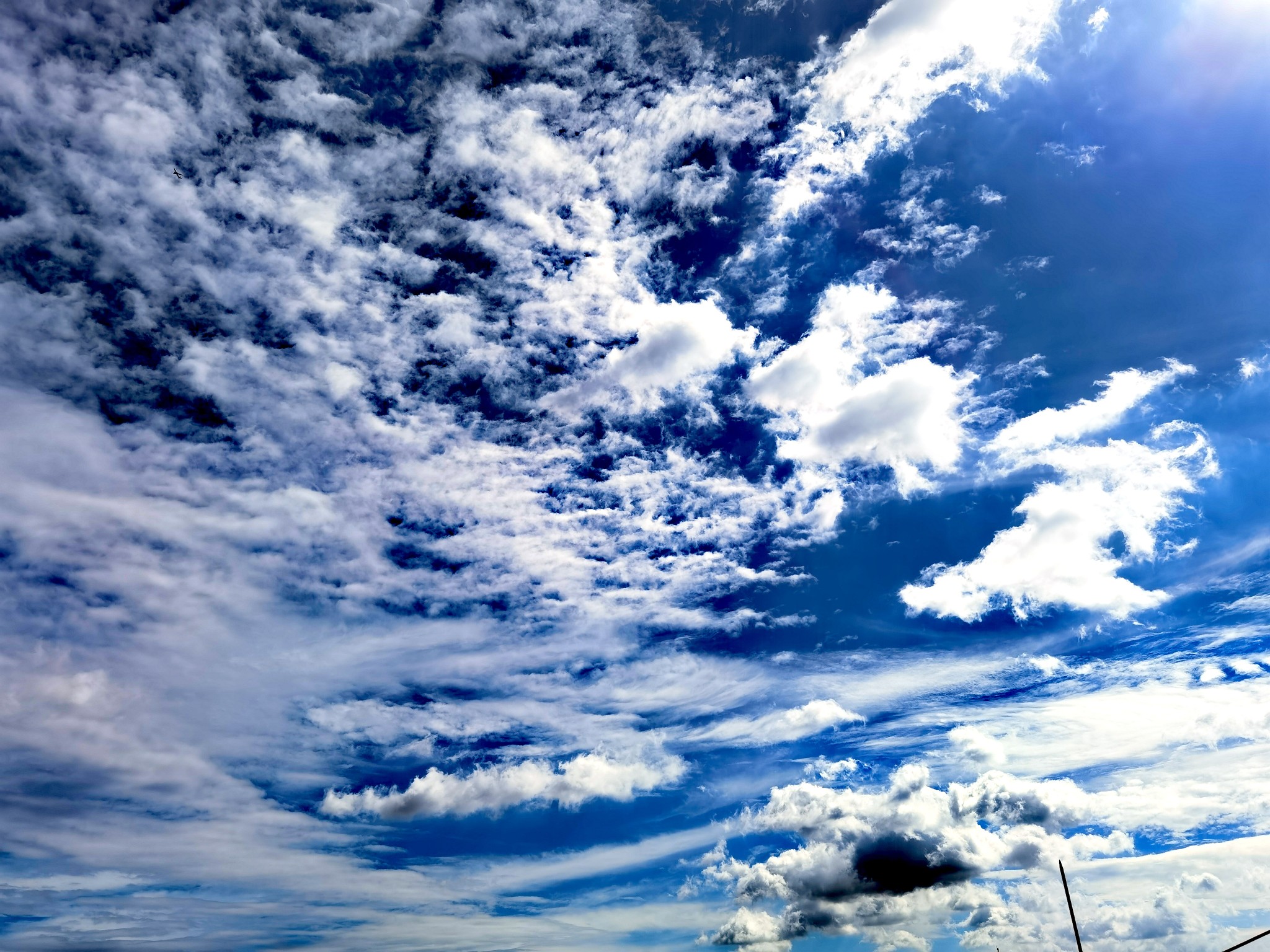 IMG_20210710_163502.jpg