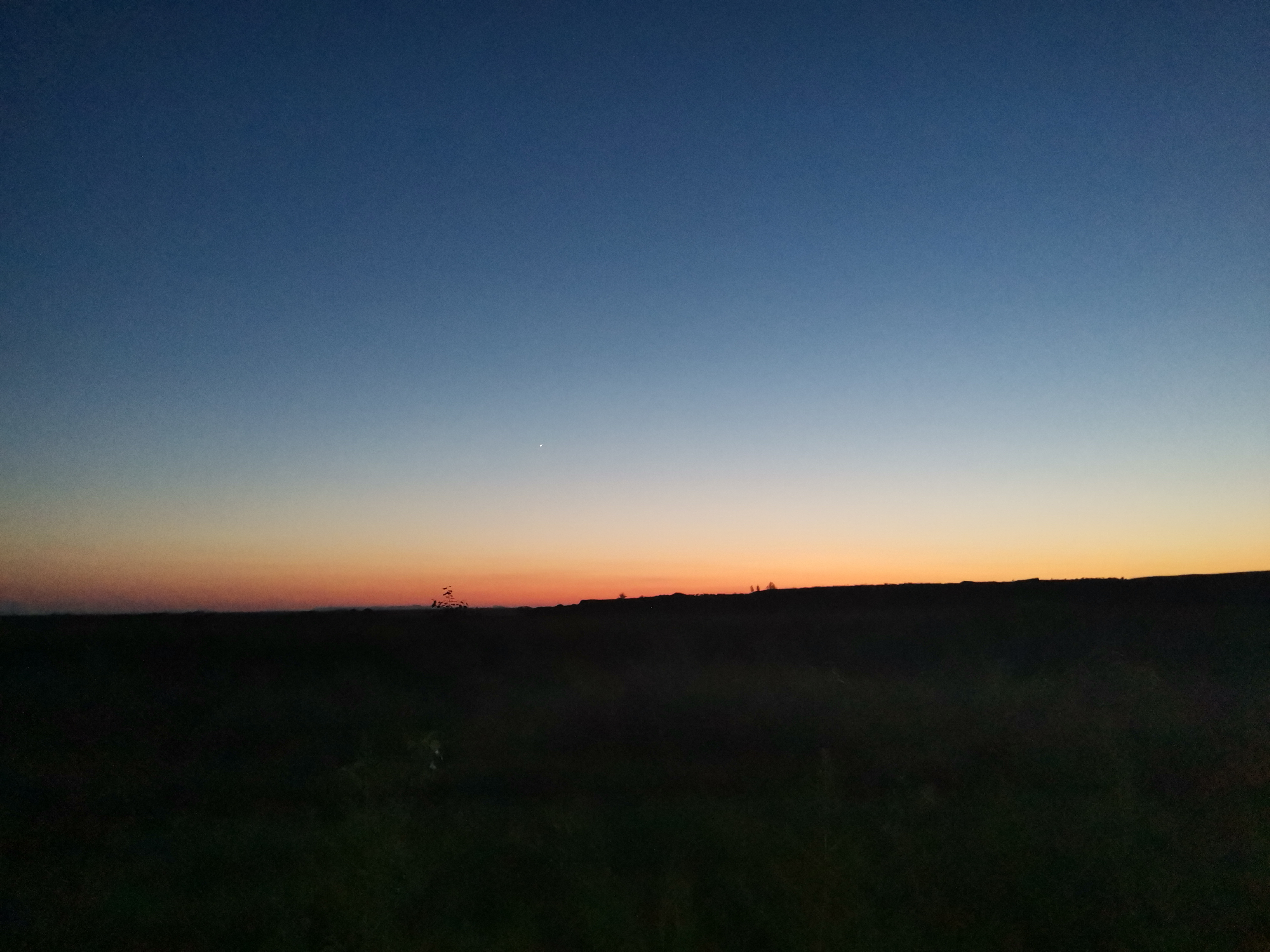 IMG_20210730_201844.jpg