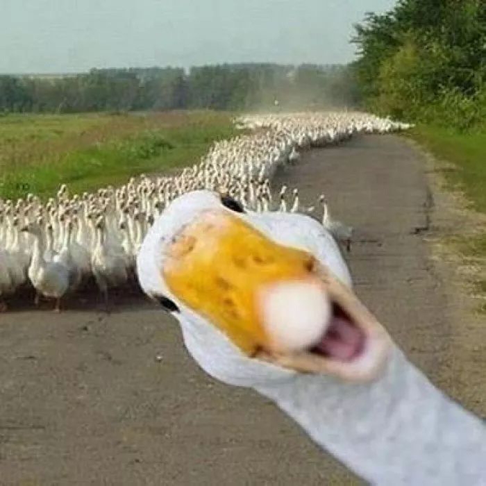1608395104418.jpeg