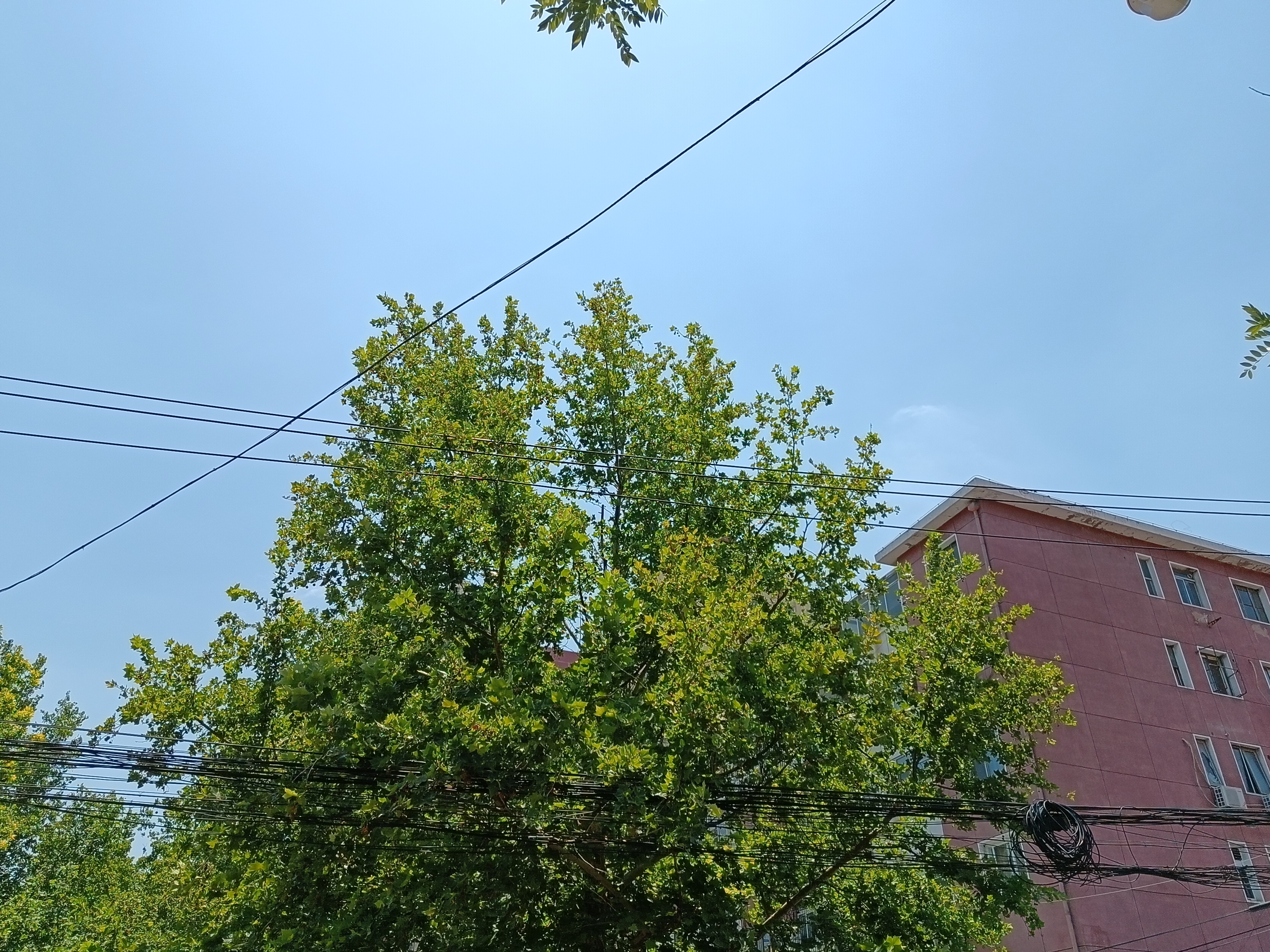 微信图片_20210810104233.jpg