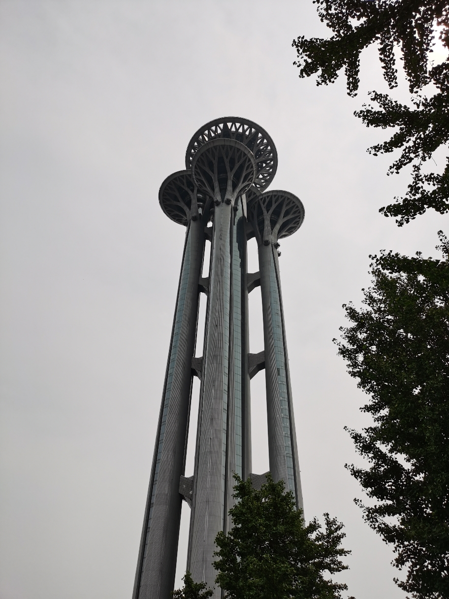 IMG_20210811_123254.jpg