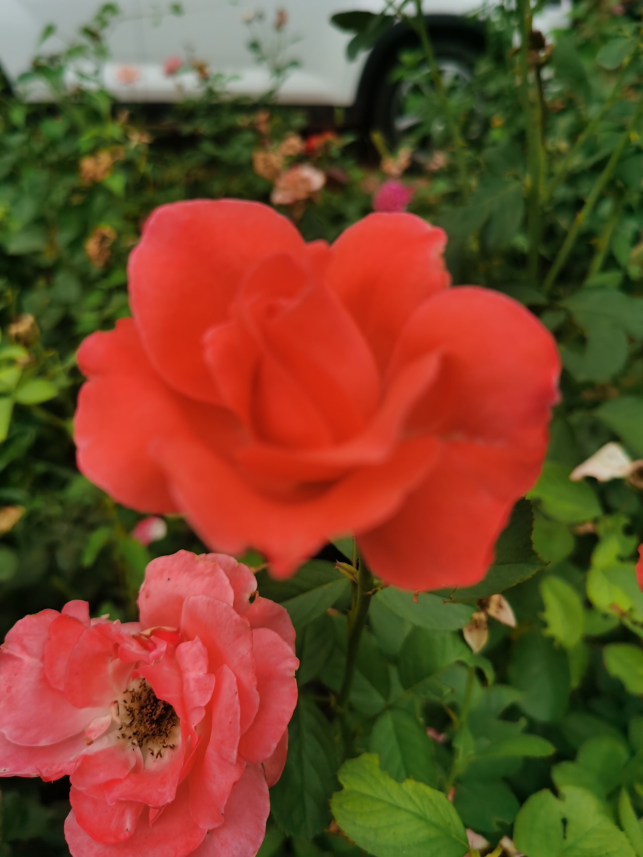 IMG_20210808_161704.jpg