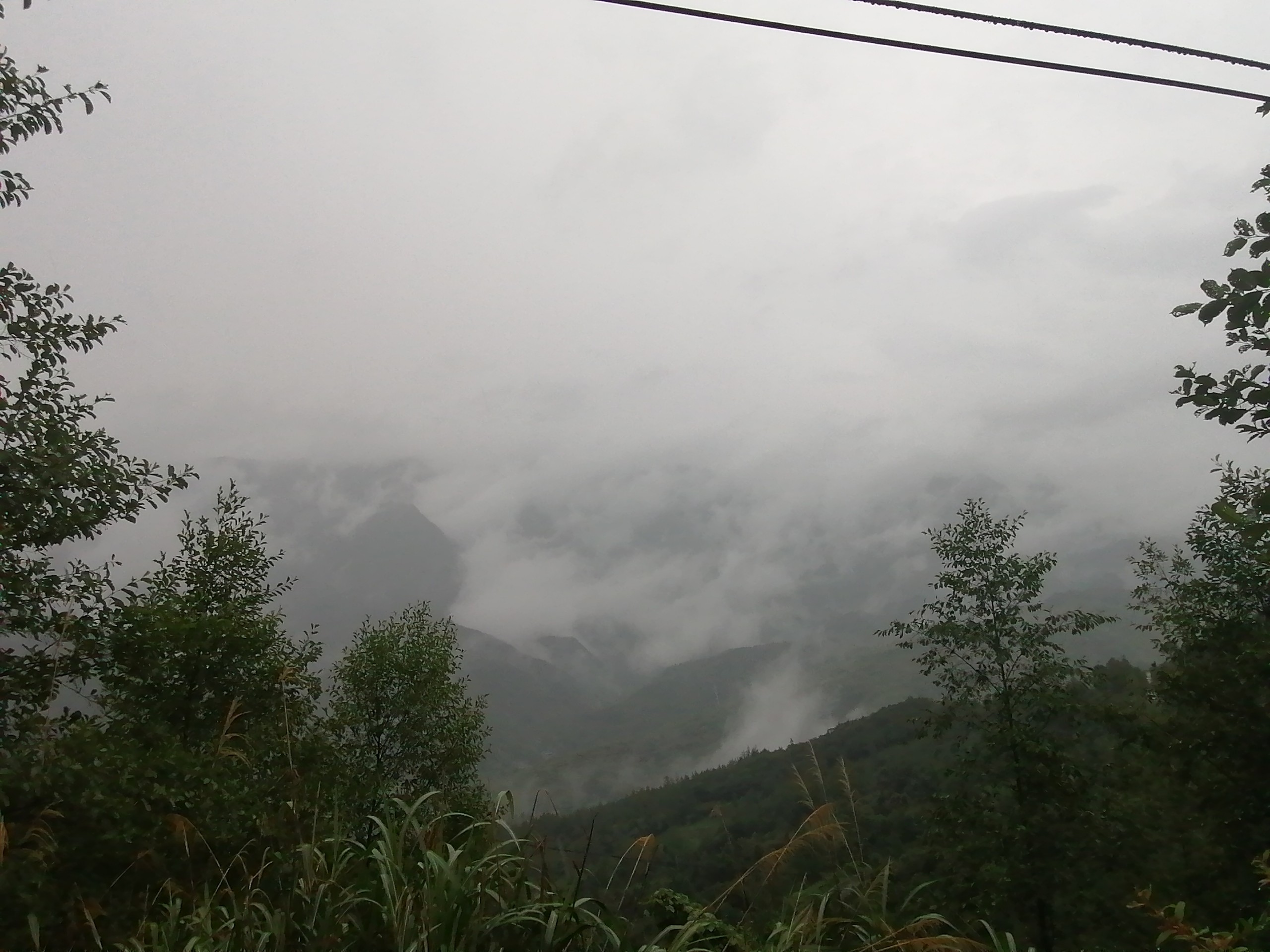 IMG_20210813_101055.jpg