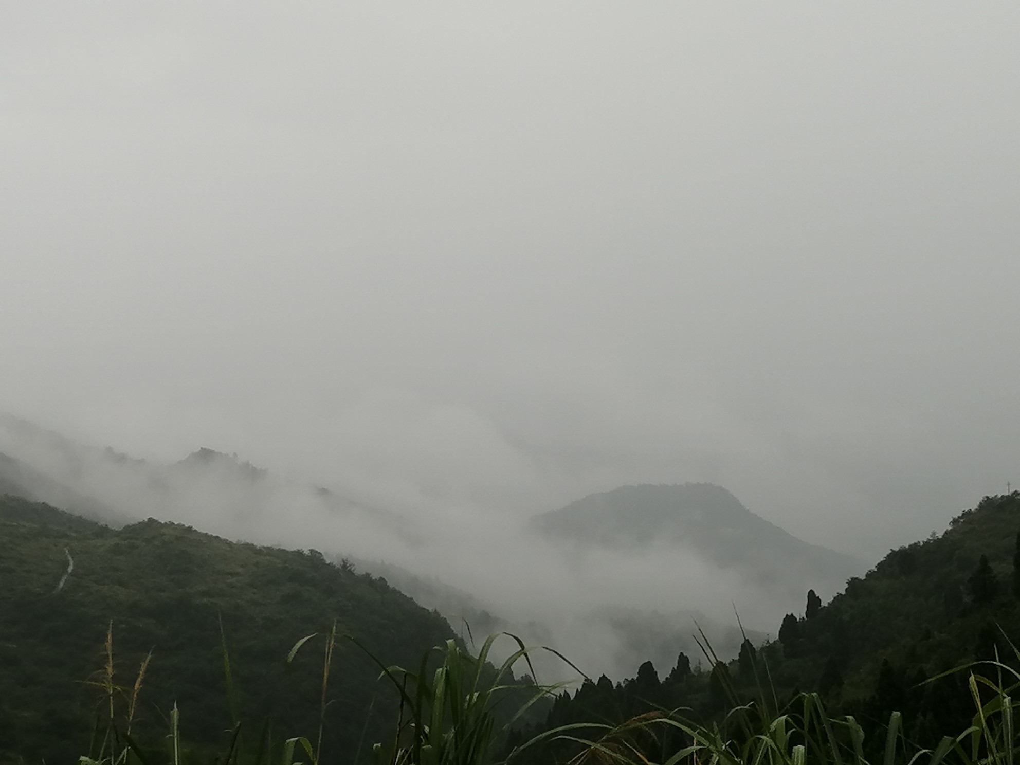 IMG_20210813_101606.jpg