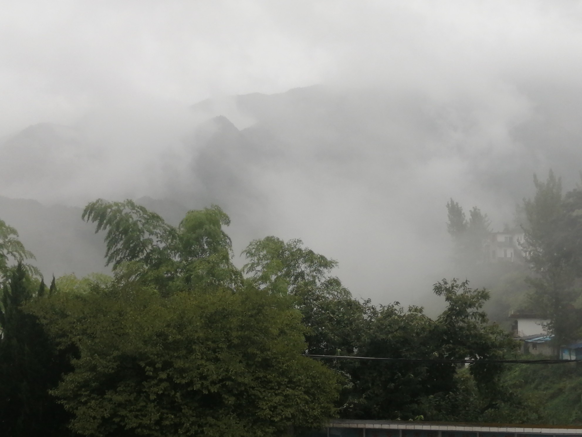 IMG_20210814_083255.jpg