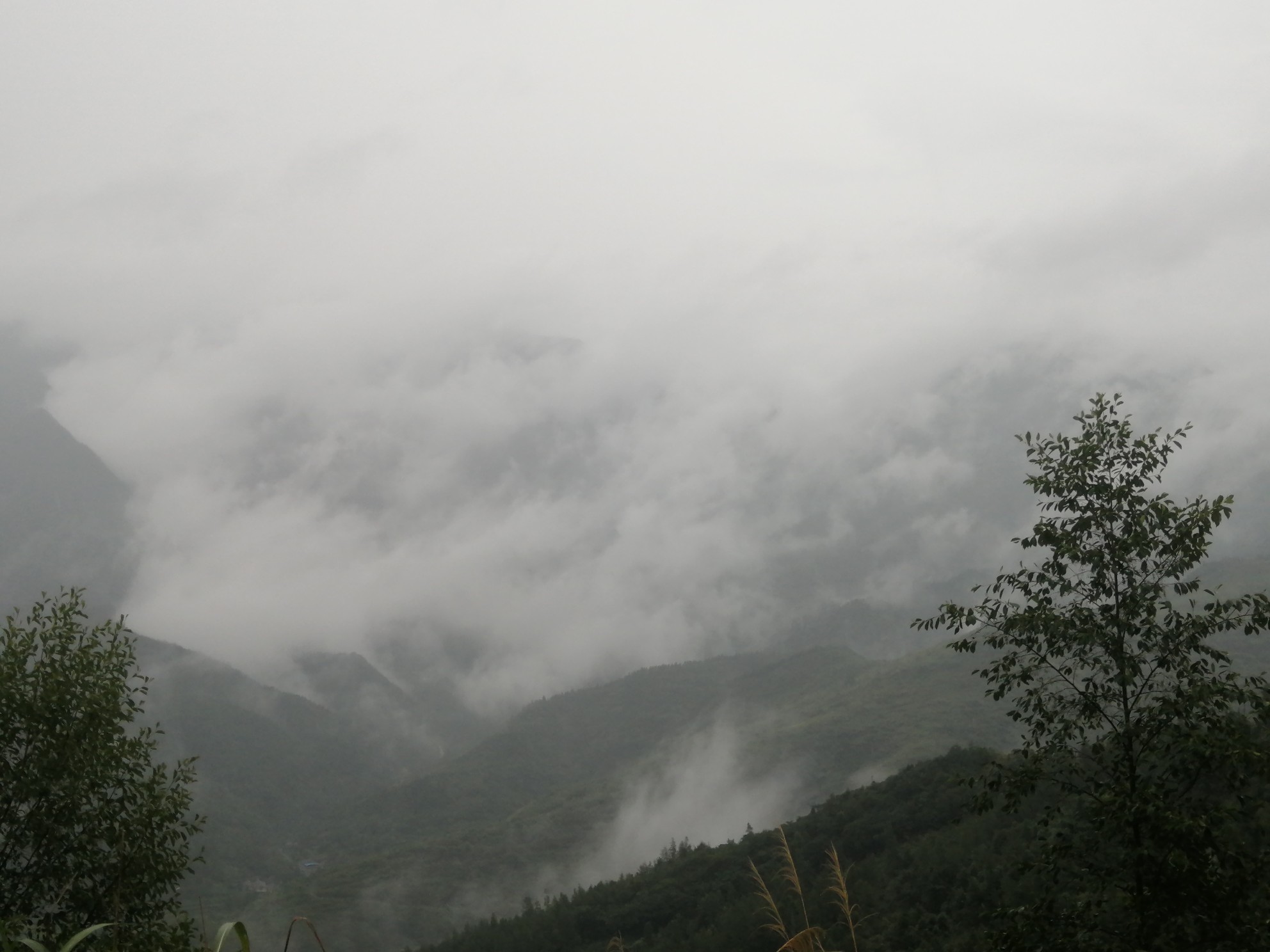 IMG_20210813_101030.jpg