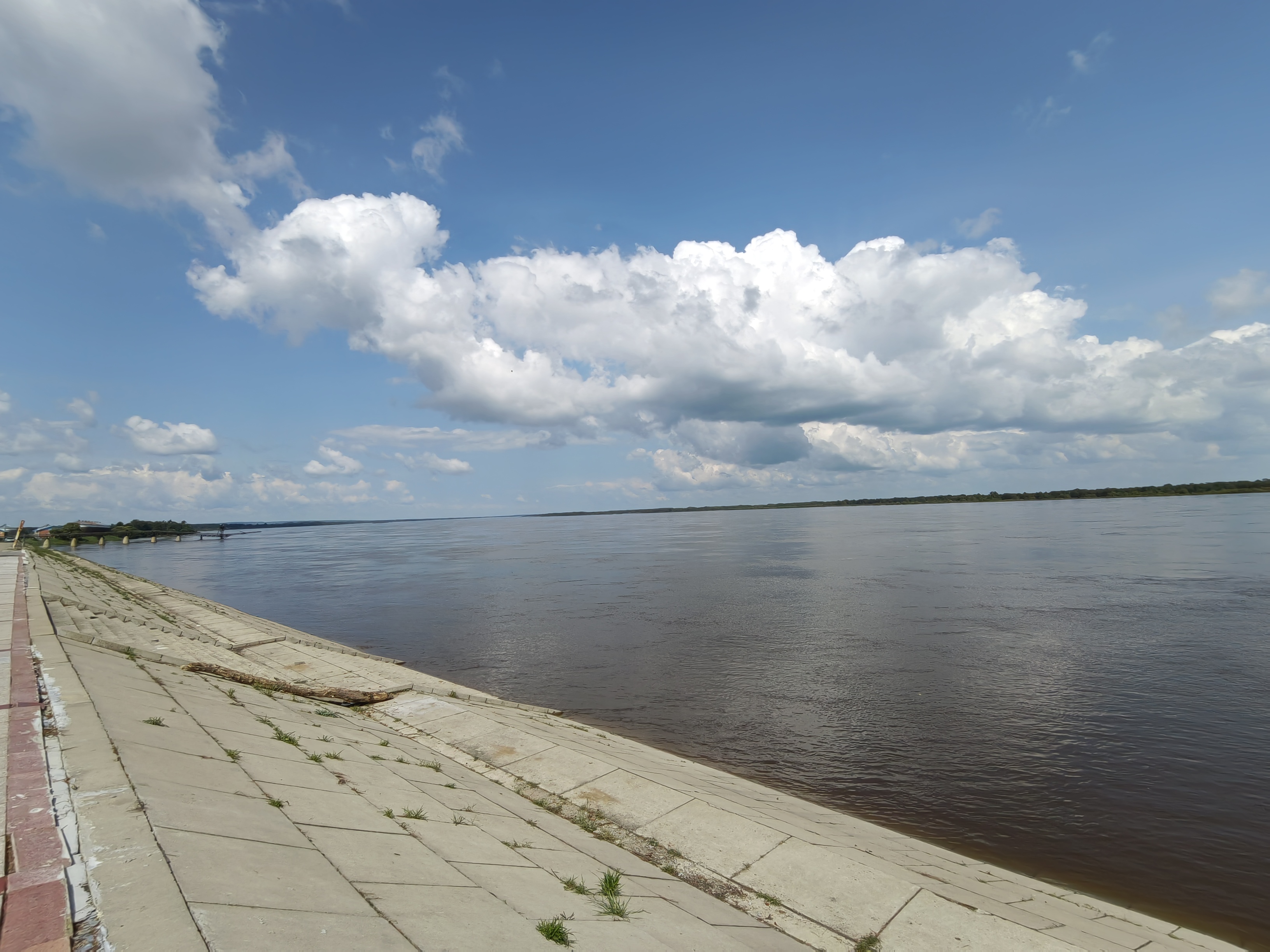 IMG_20210812_122358.jpg