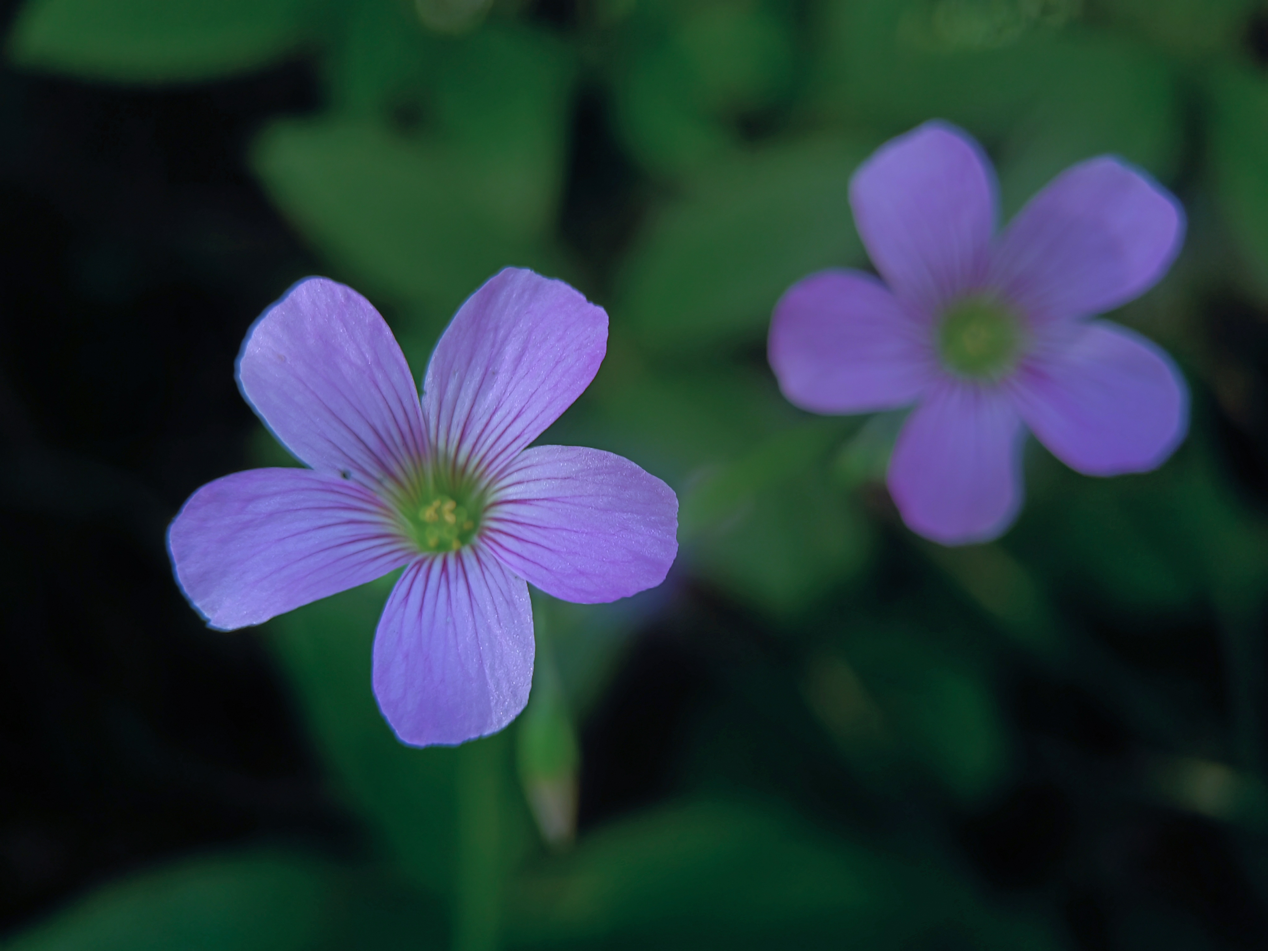 IMG_20210424_135444_polarr.jpg