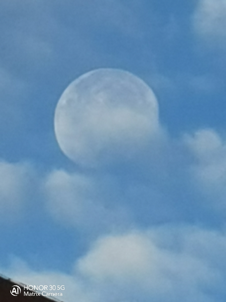 IMG_20210727_060158.jpg
