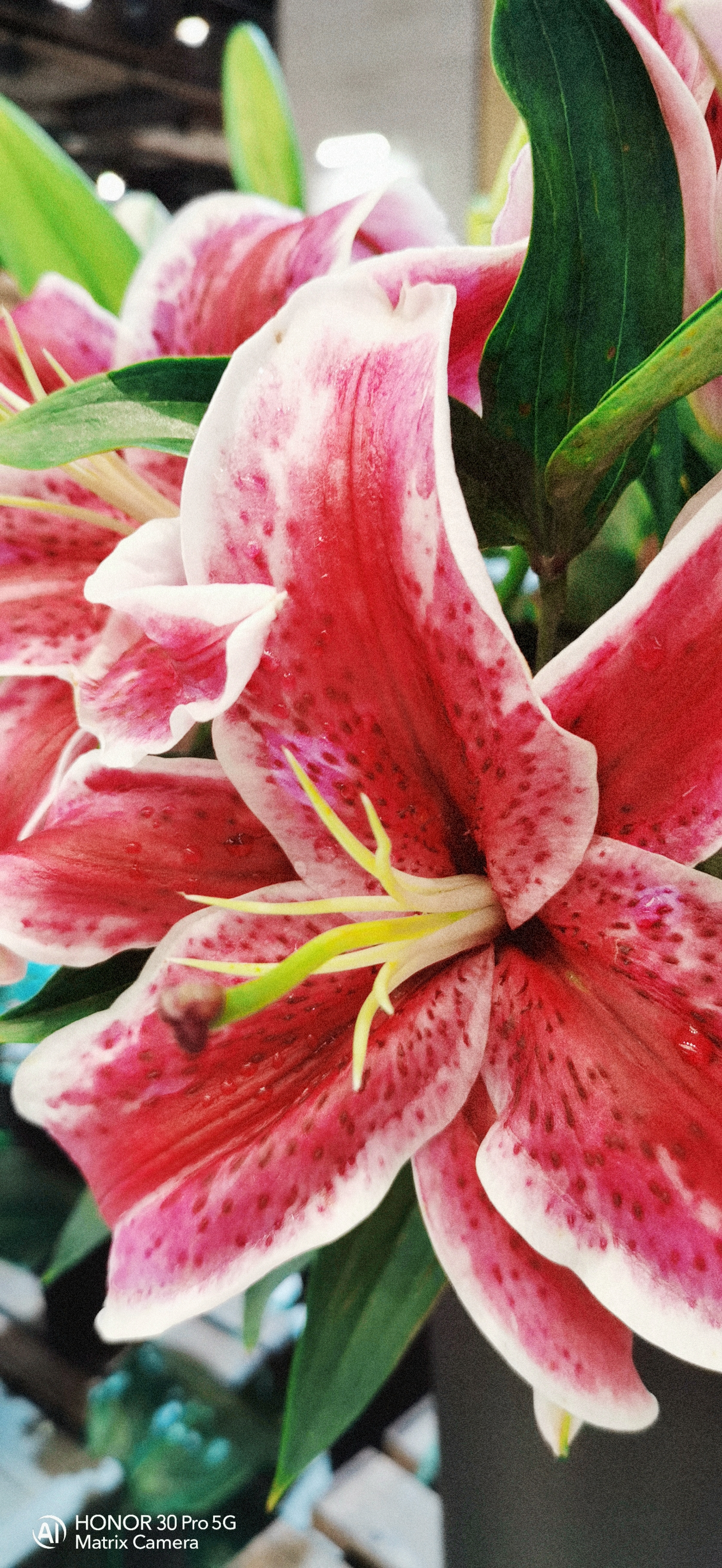 retouch_2021081516032184.jpg