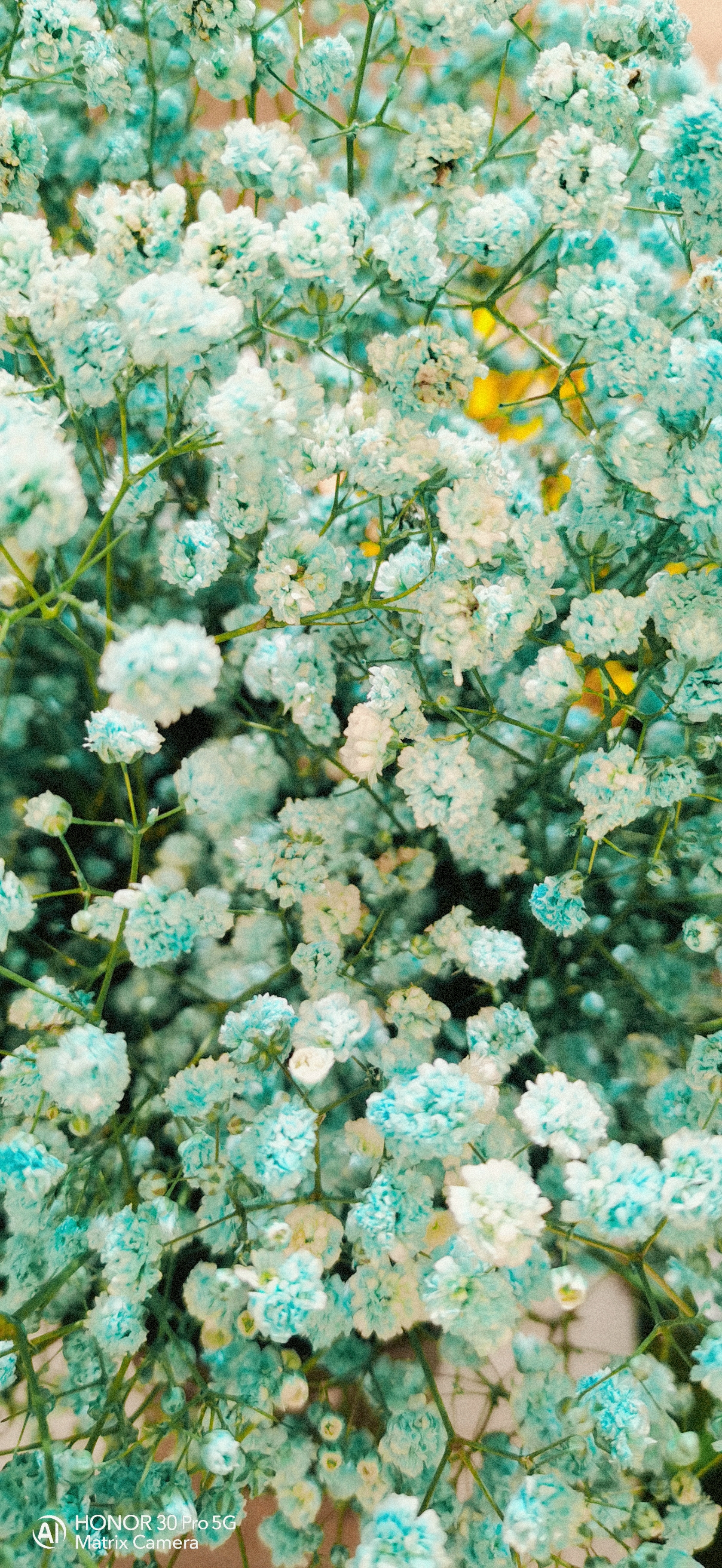 retouch_2021081516023980.jpg