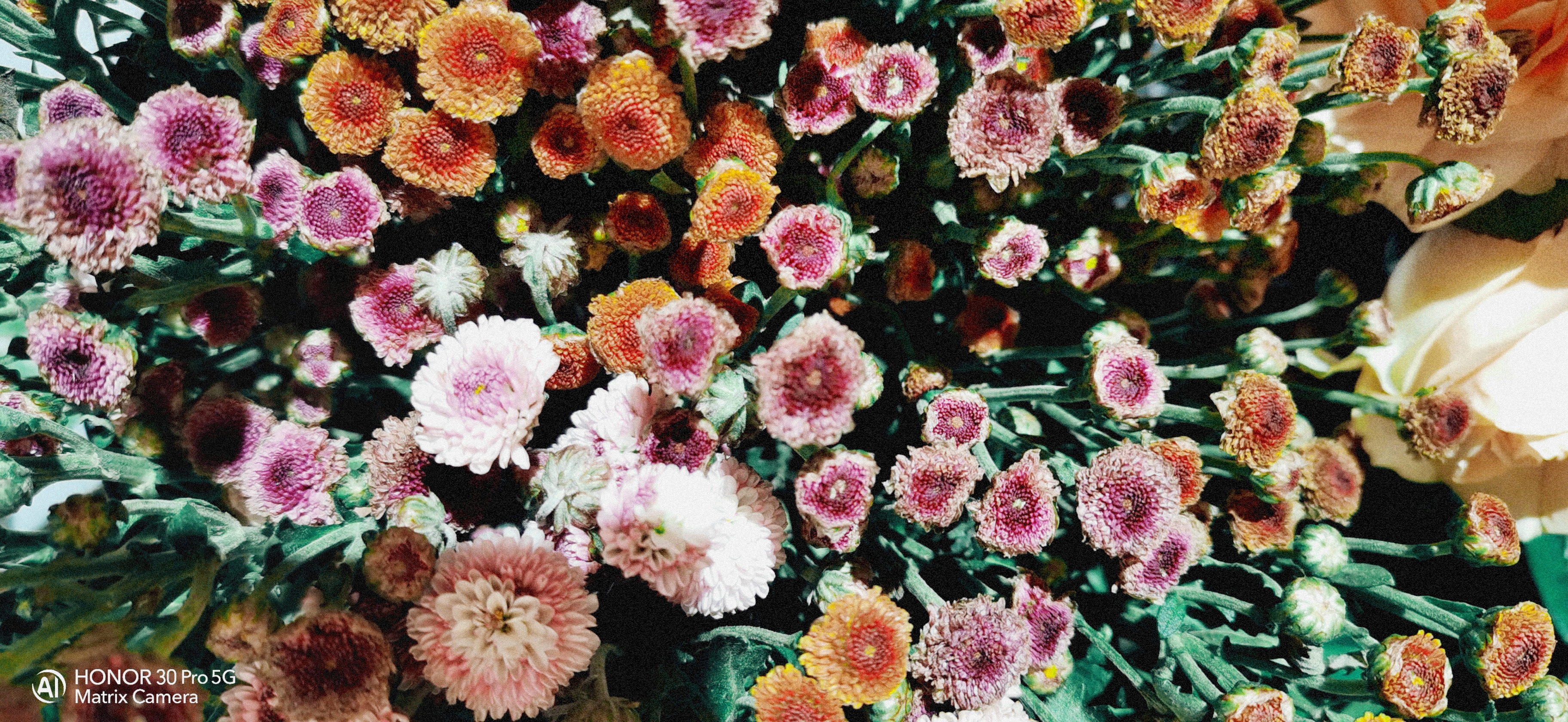 retouch_2021081516040831.jpg