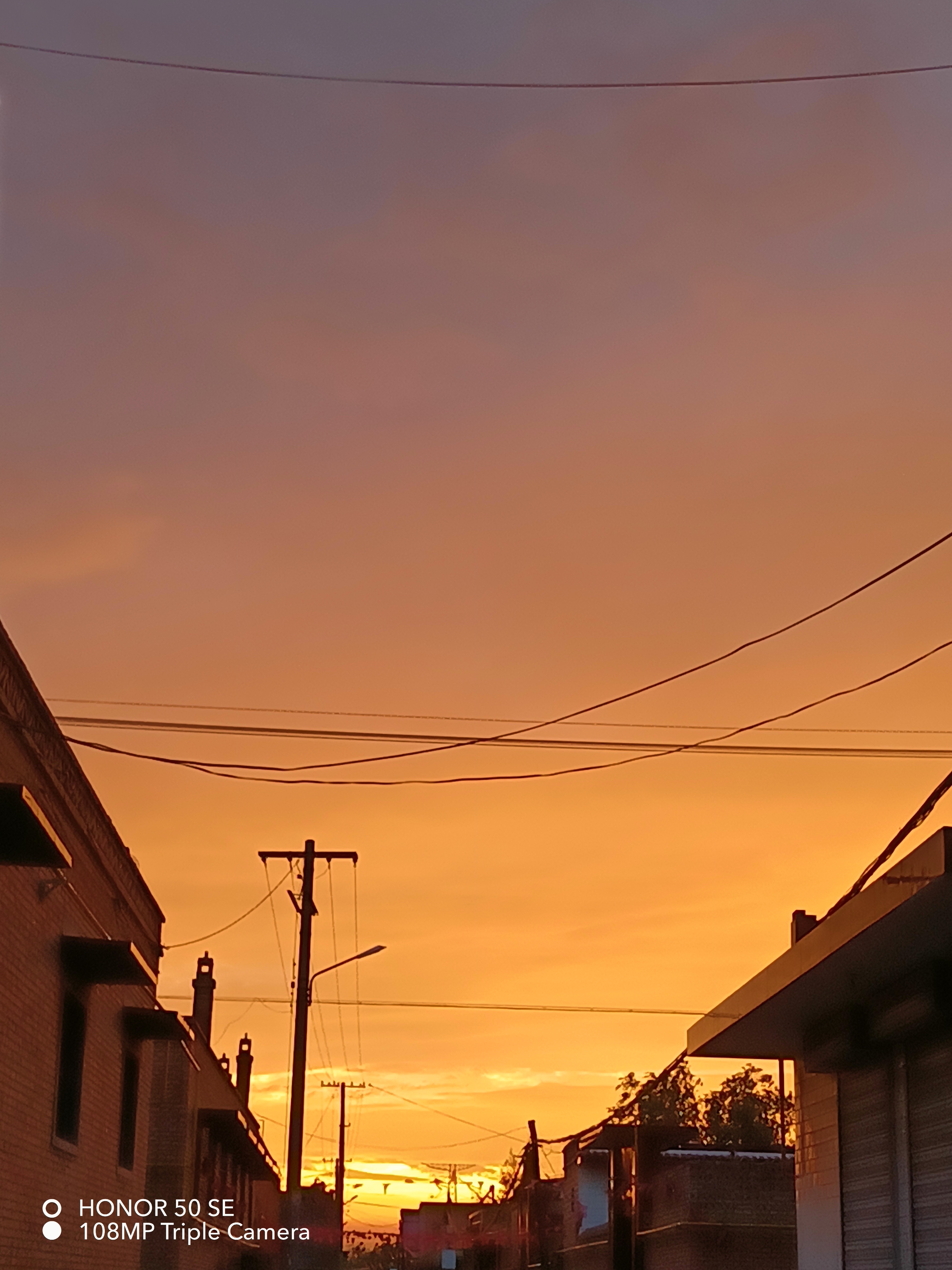 IMG_20210719_194103.jpg