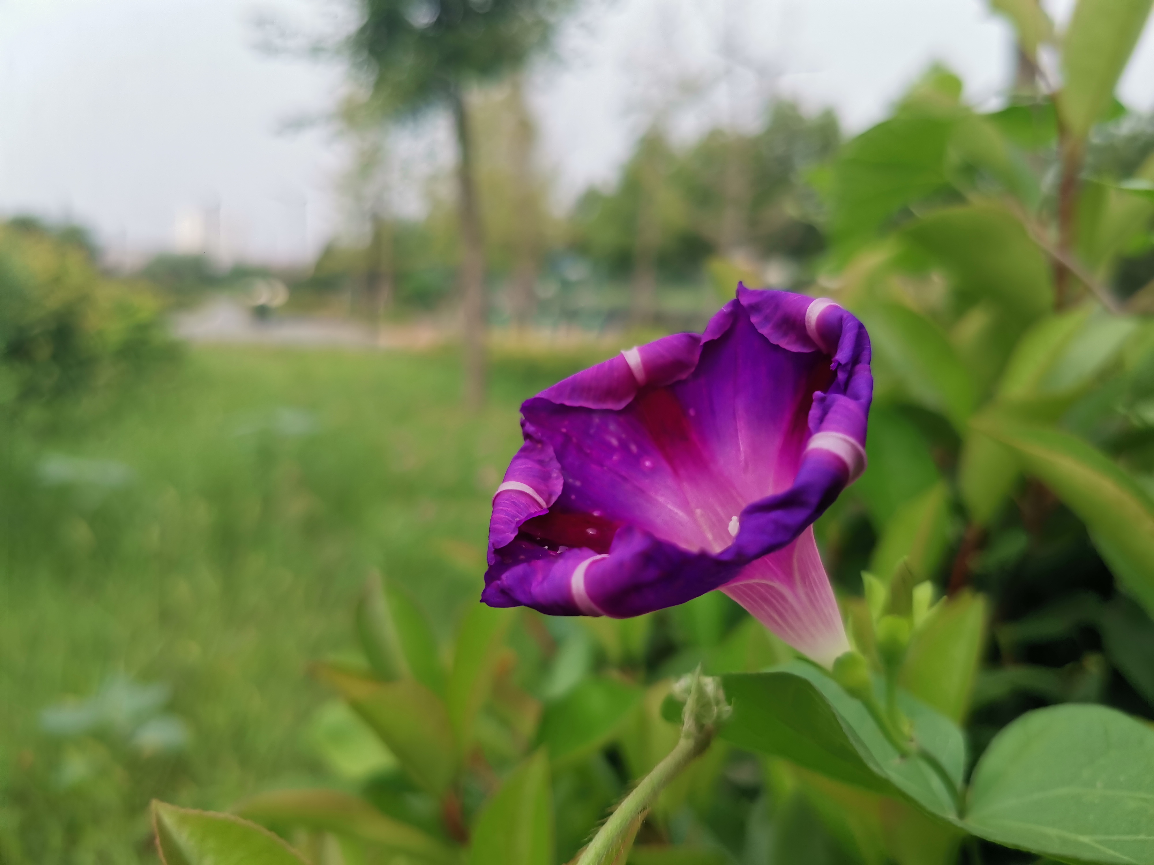 IMG_20210816_090229.jpg