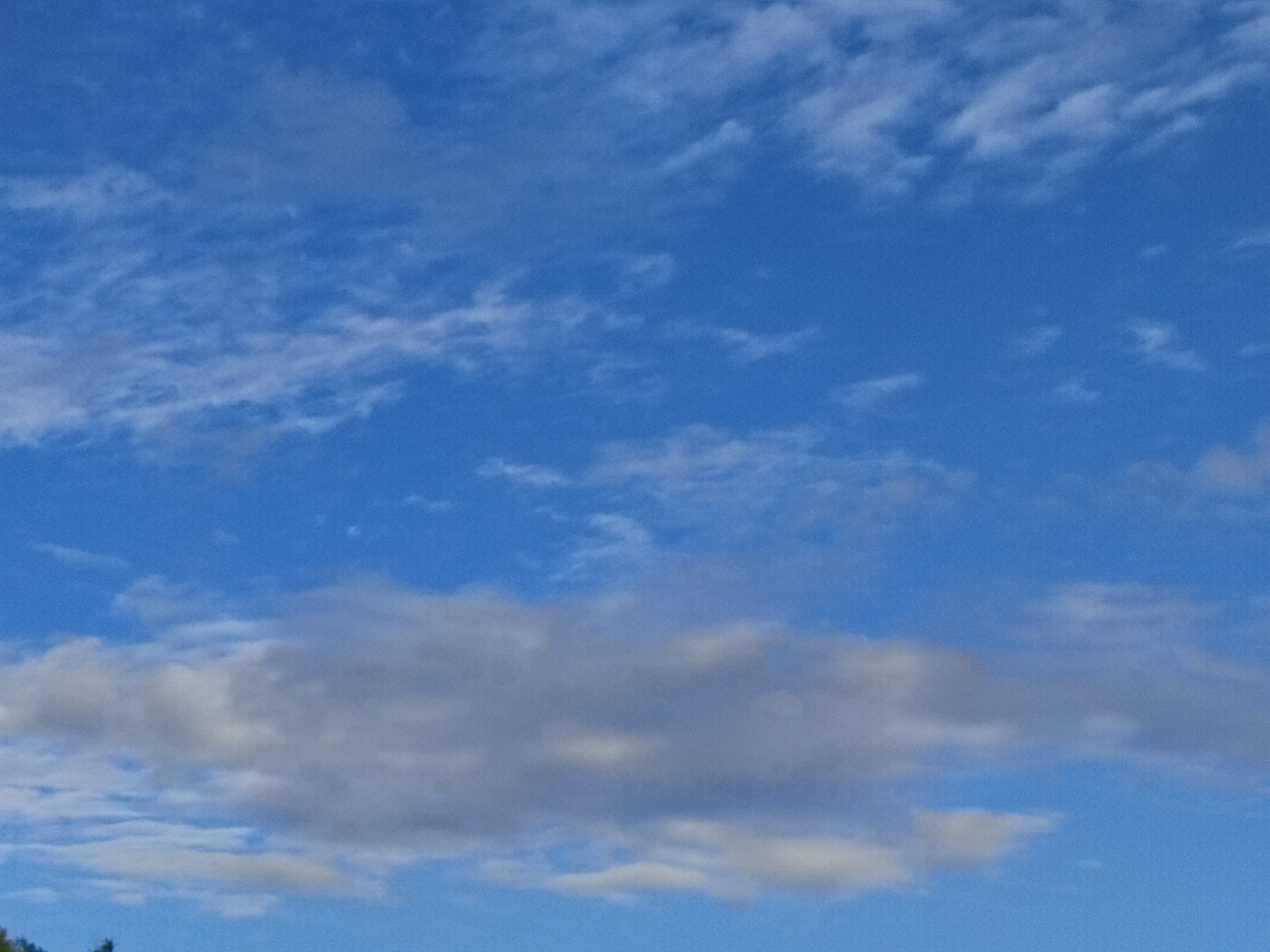 IMG_20210813_162436.jpg