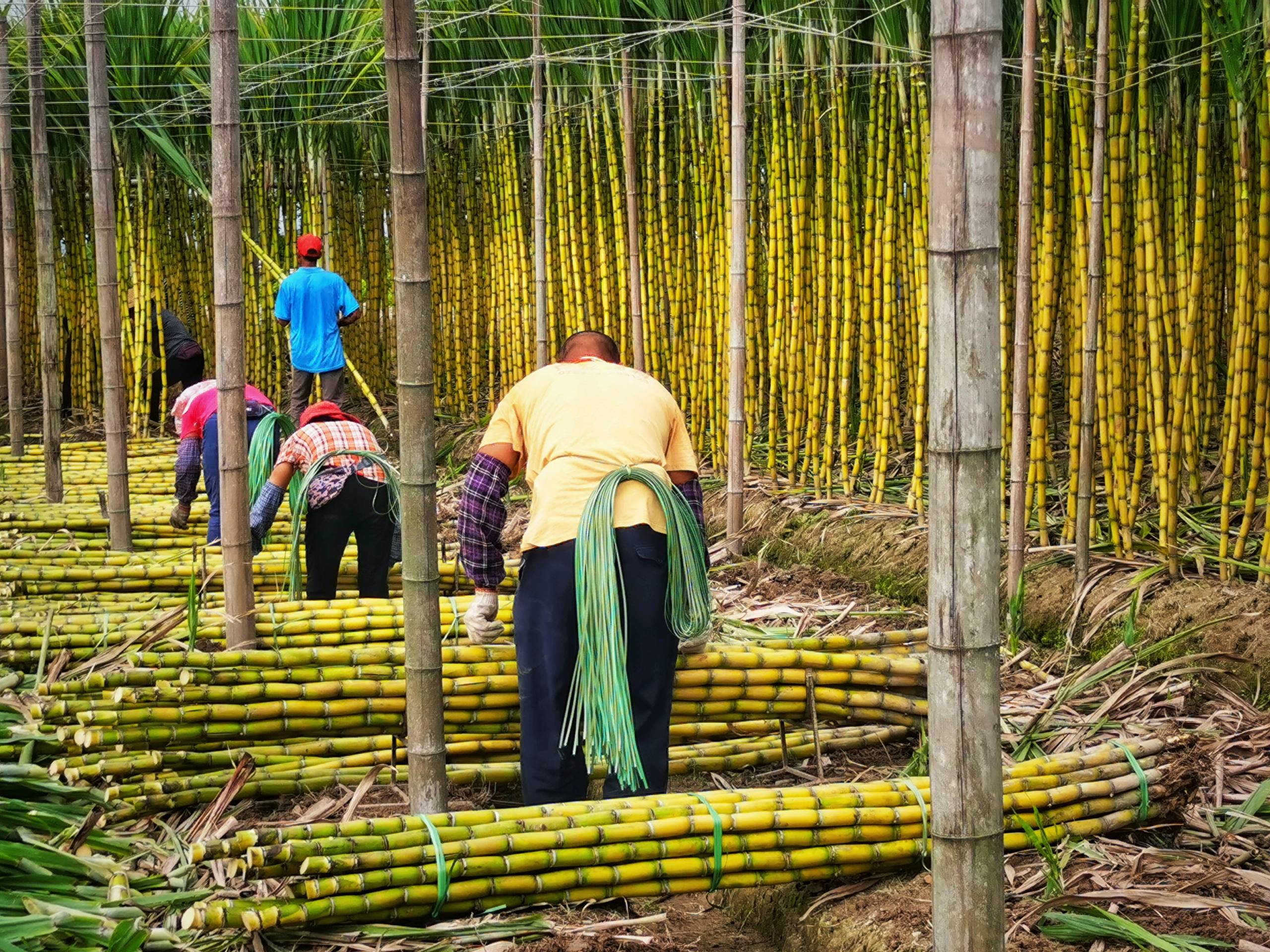 IMG_20200301_141656-01.jpeg