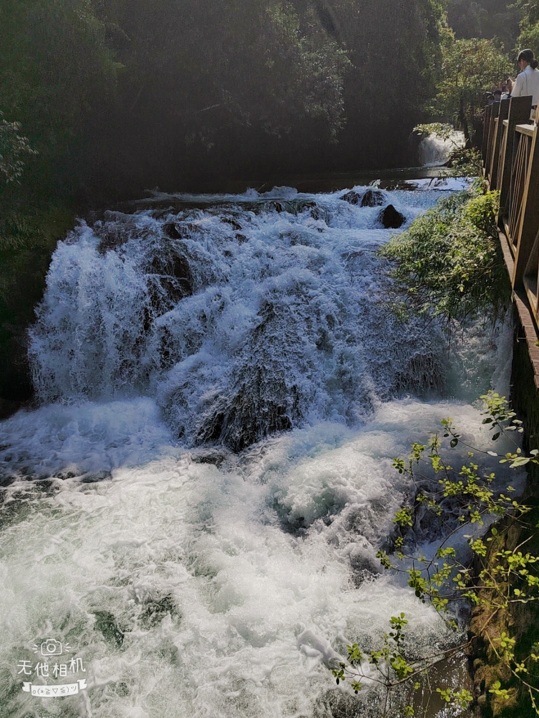 Wuta_20210723_160125.jpg