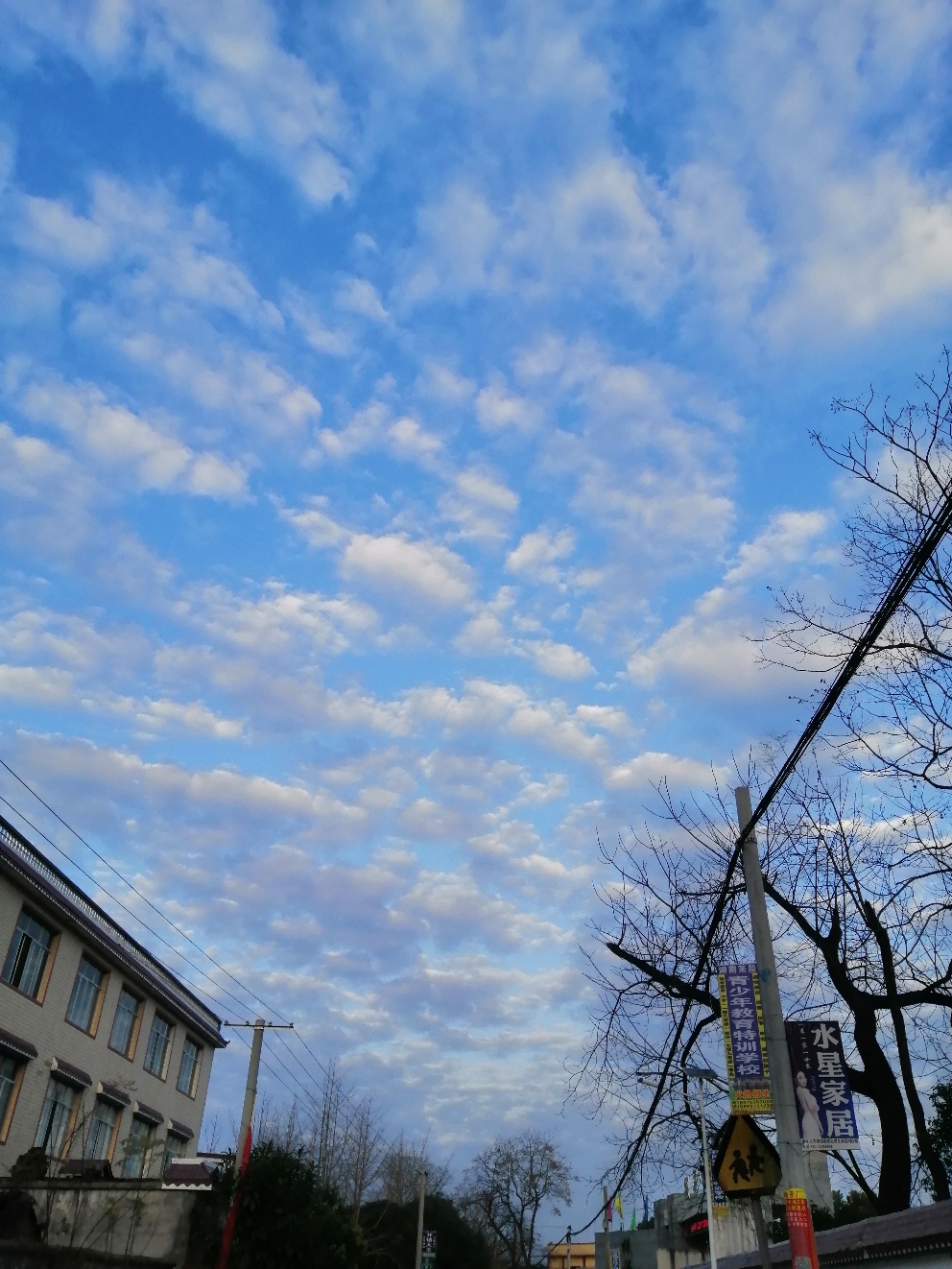 IMG_20201231_172708.jpg
