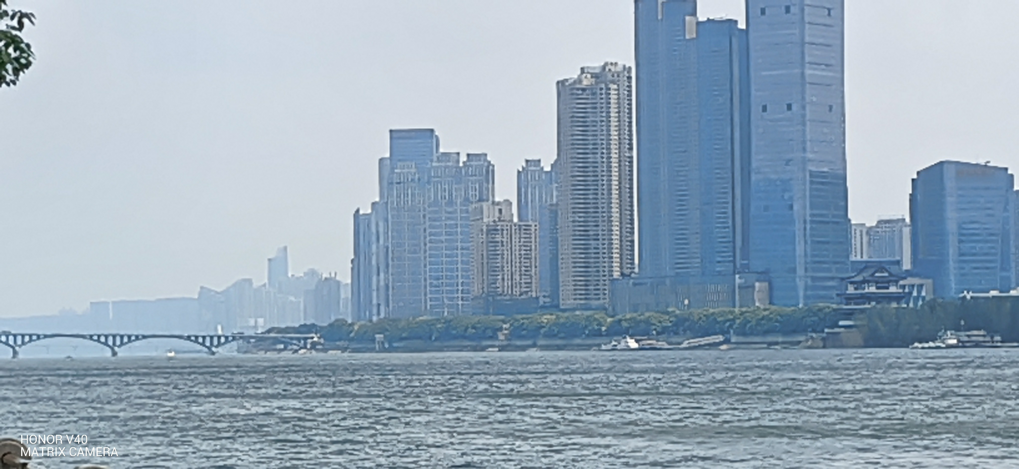 IMG_20210727_110634.jpg
