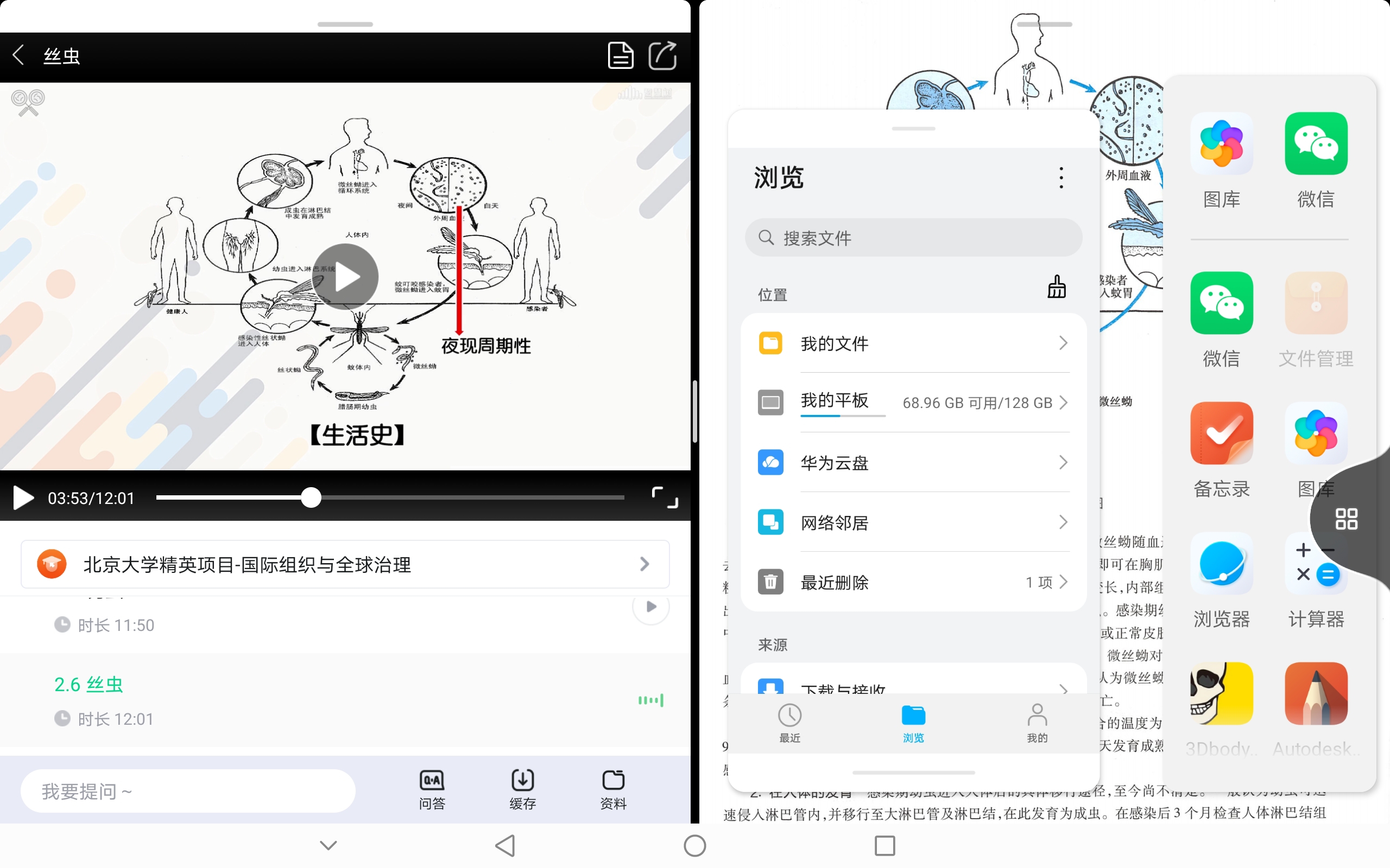 Screenshot_20210817_230332.jpg