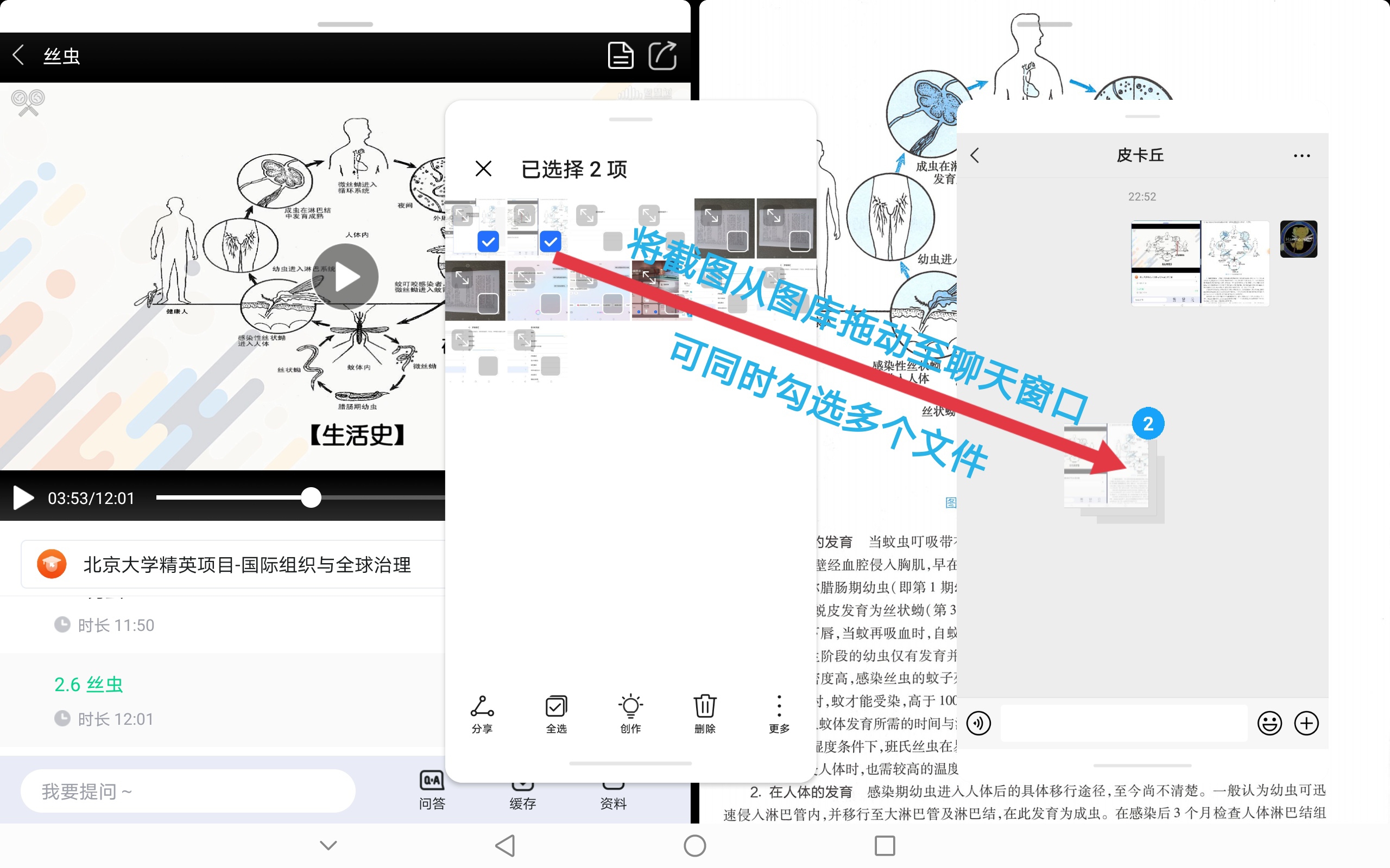 Screenshot_20210817_230159.jpg