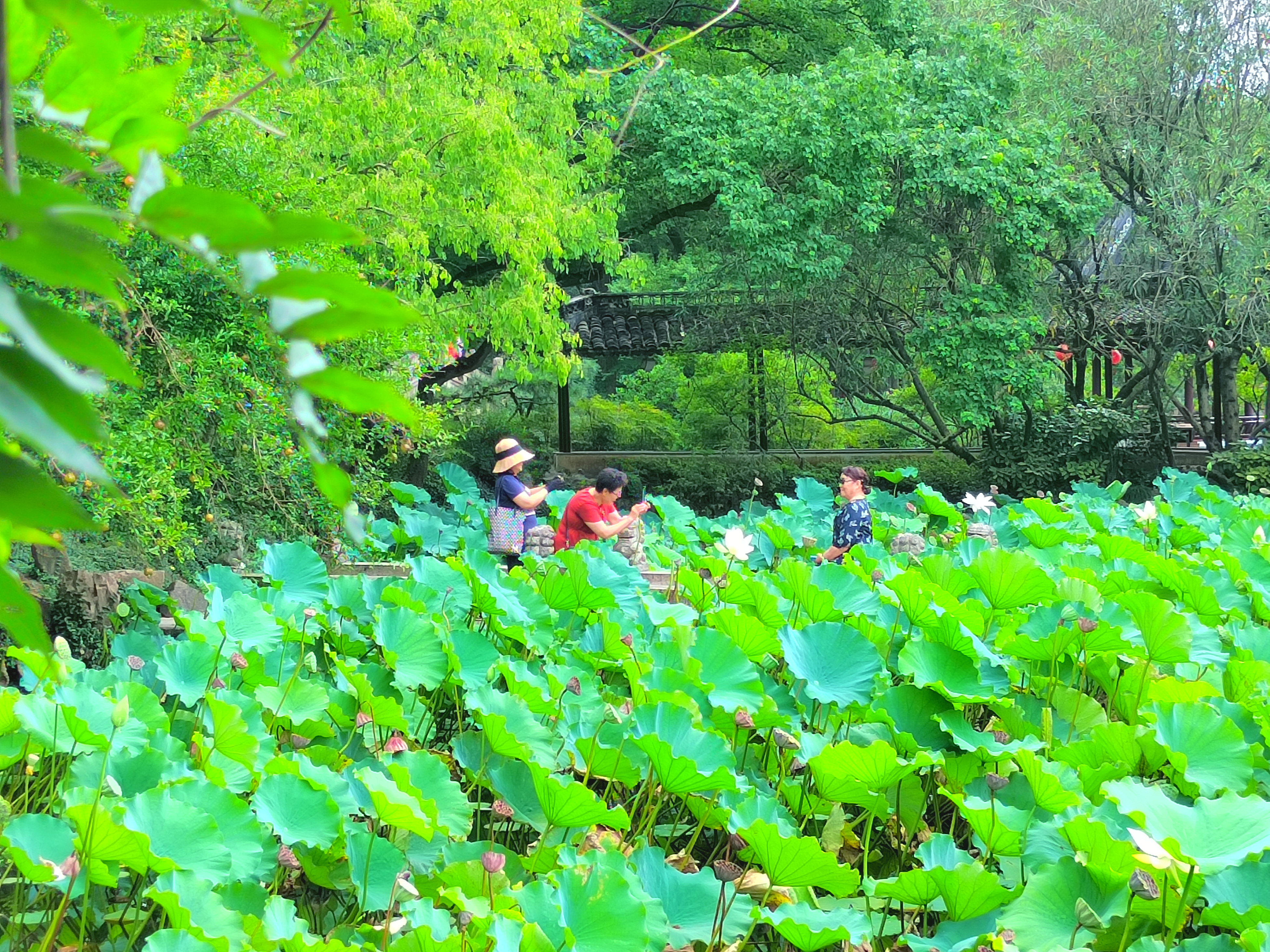 InterPhoto_1629263122120.jpg