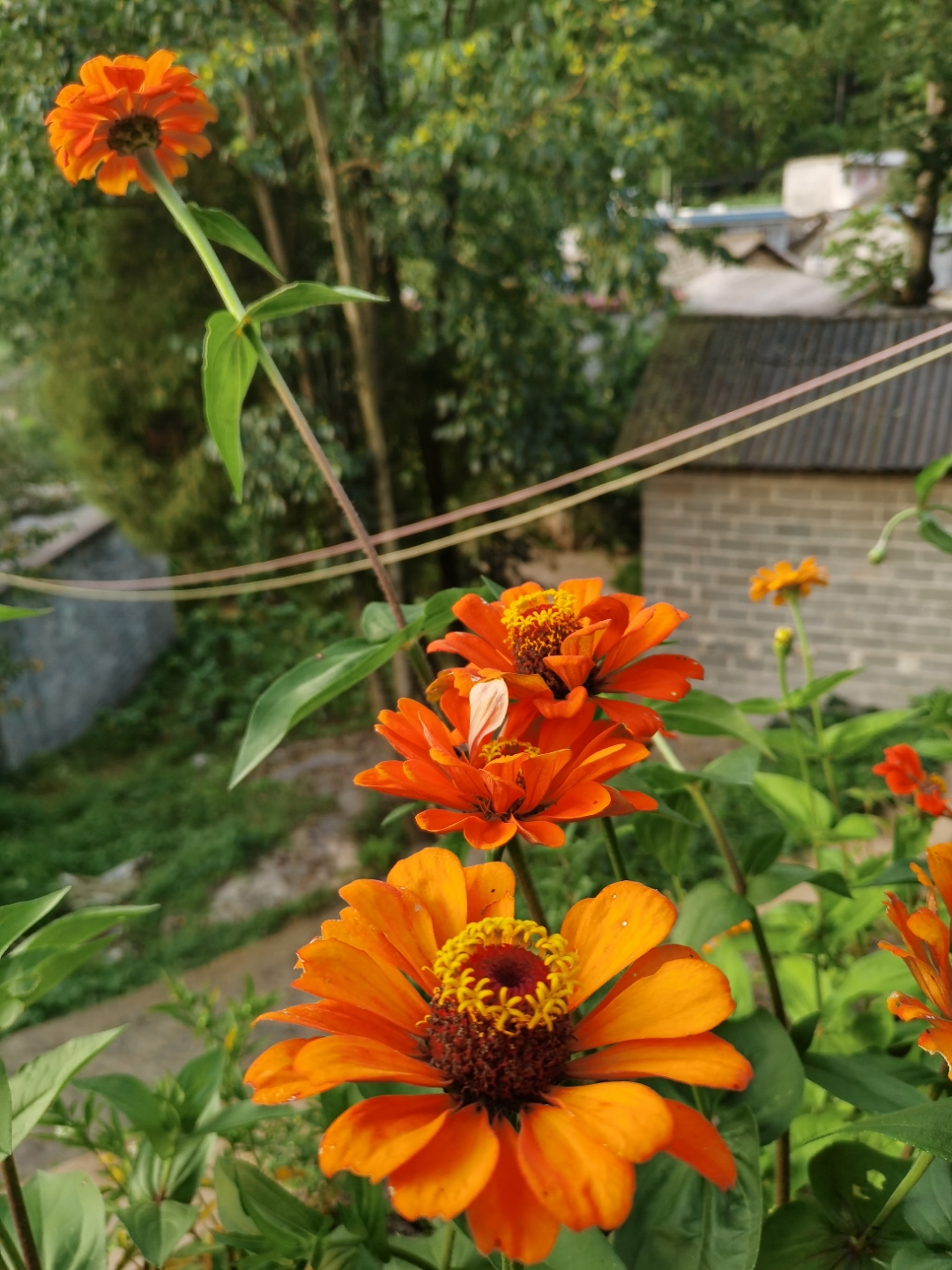 IMG_20210807_192637.jpg