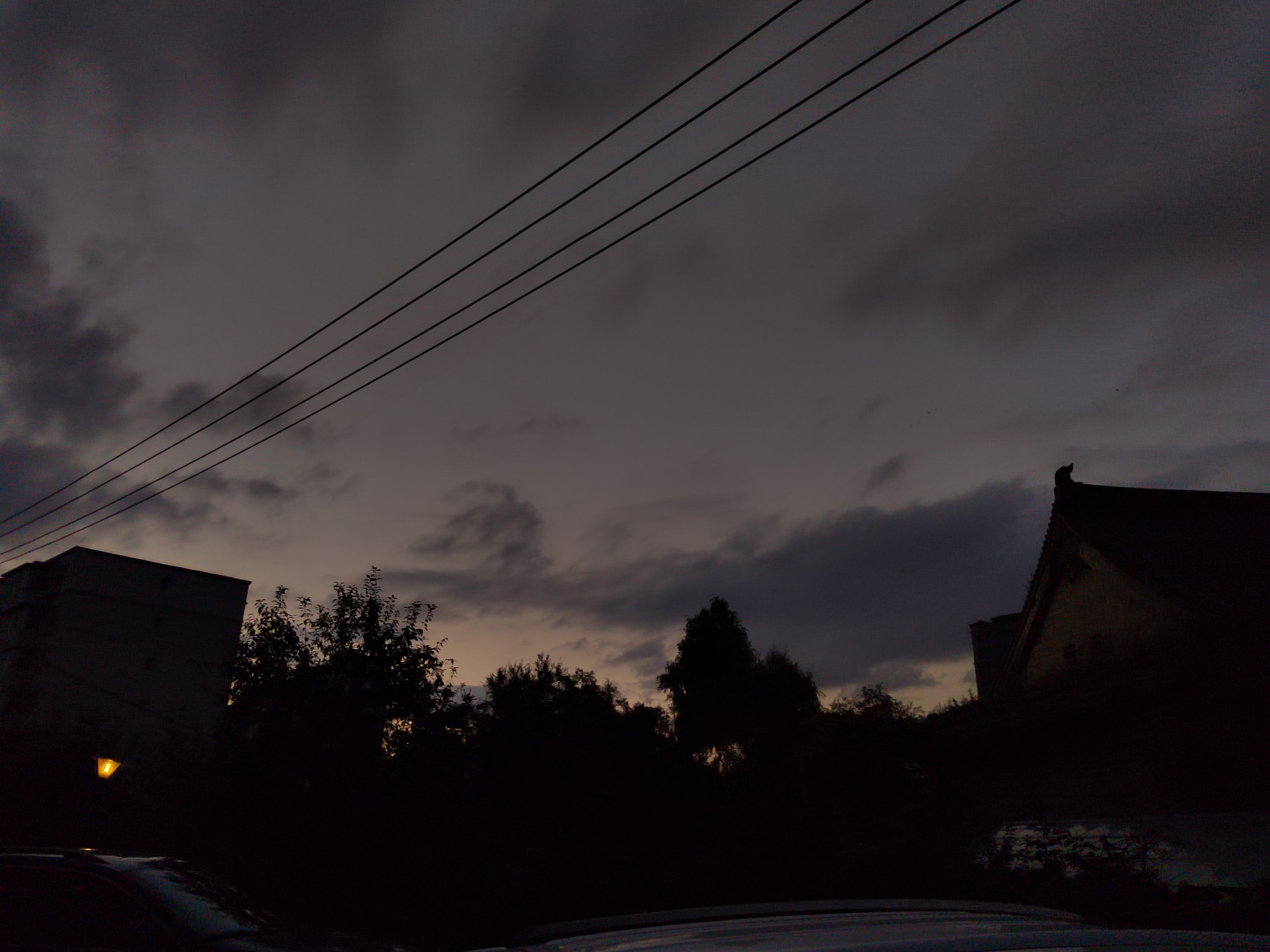 IMG_20210814_184213.jpg