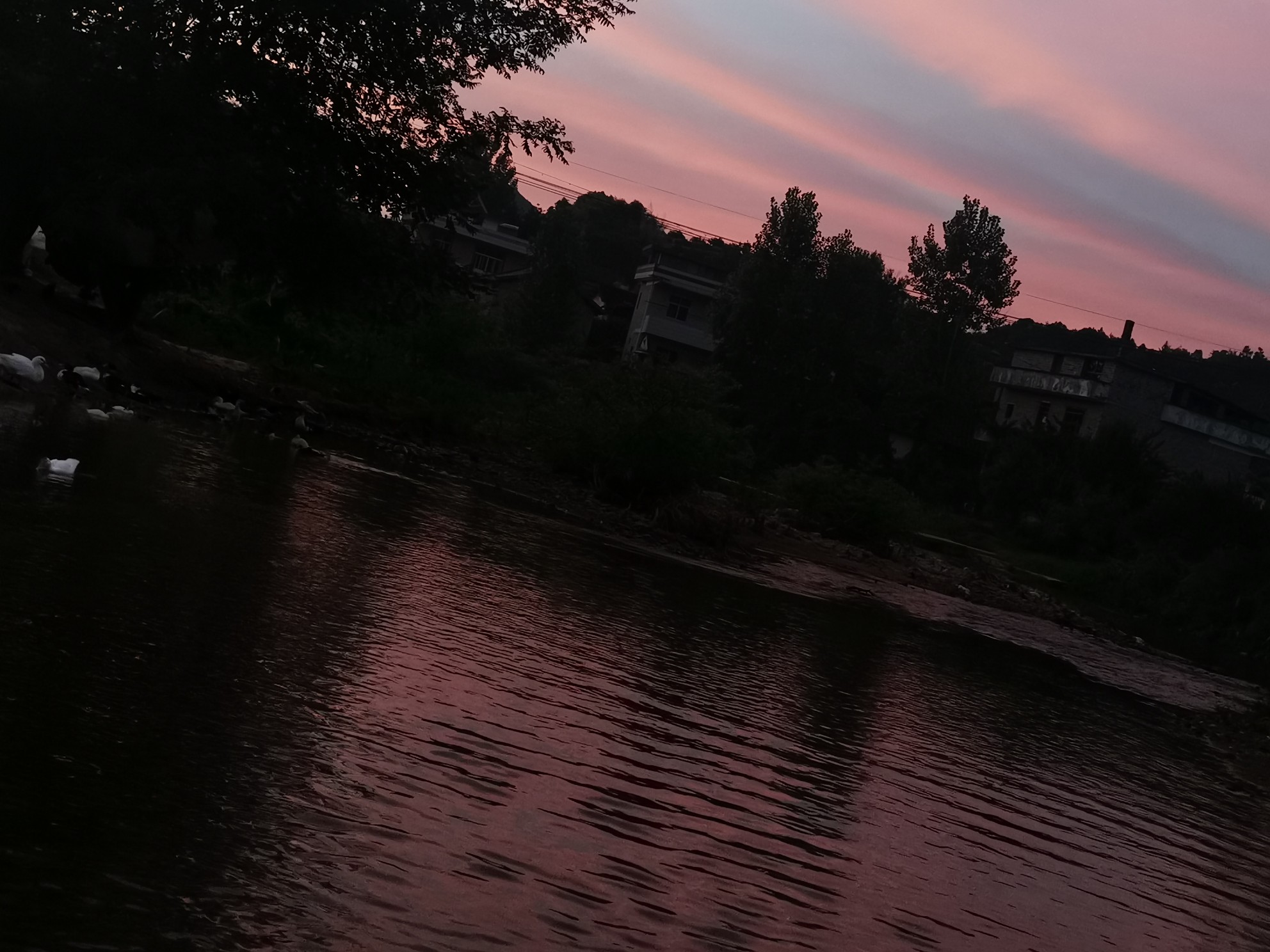 IMG_20210711_051740.jpg