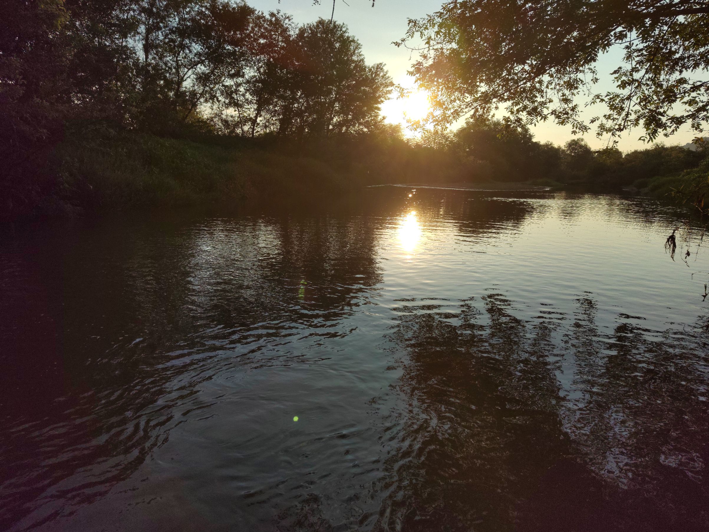 IMG_20210727_061246.jpg
